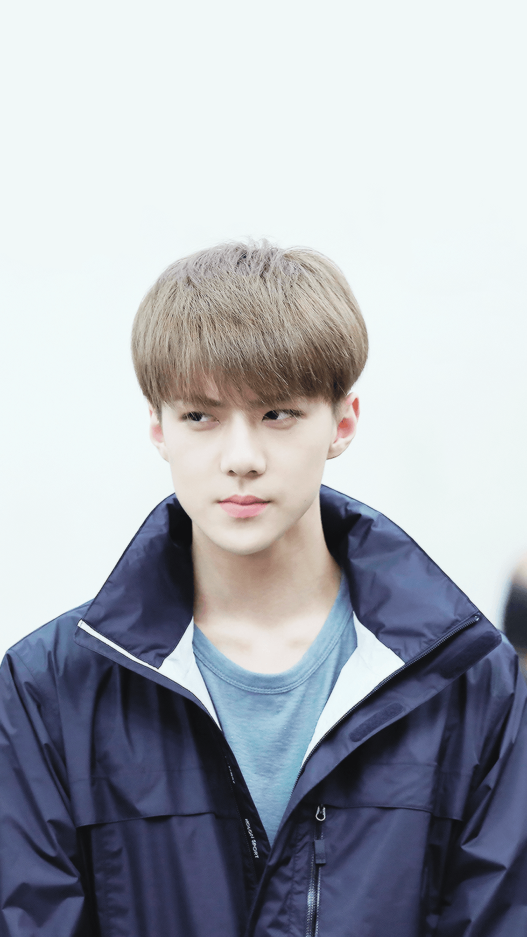 A Caelo Usque Ad Centrum Icons: Requested. Sehun