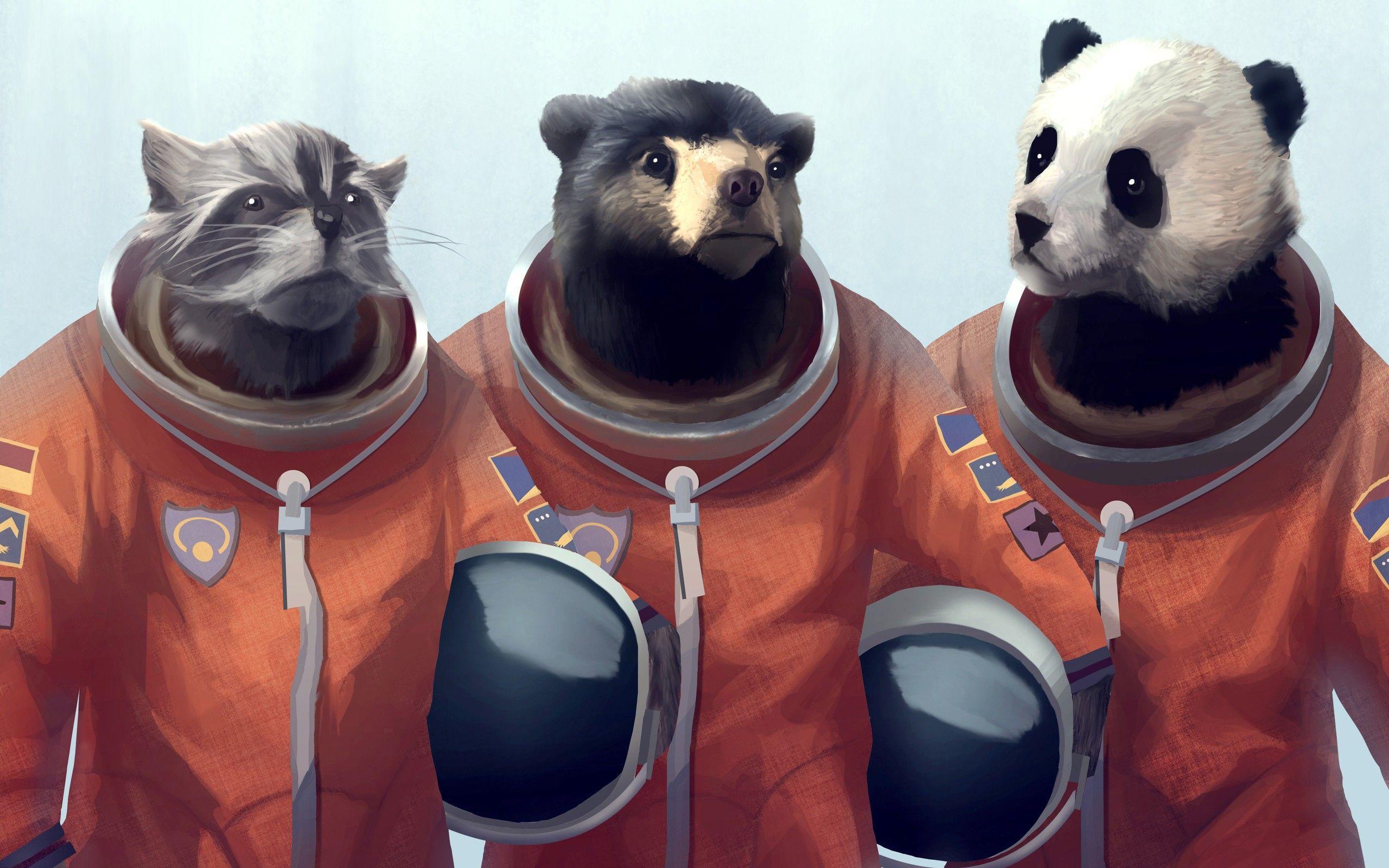 Animals Artwork Bears Cosmonaut Furry Panda Raccoons Wallpaper