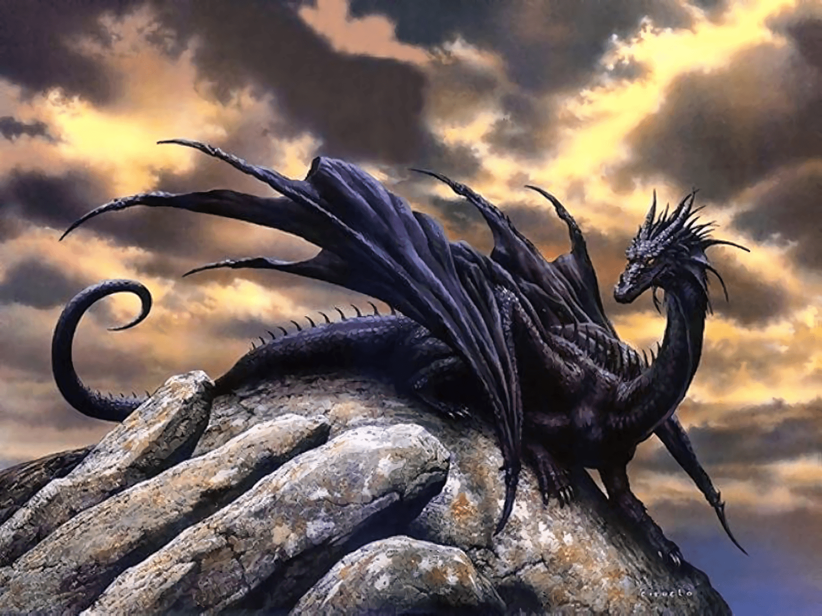 Dragon HD Wallpaper