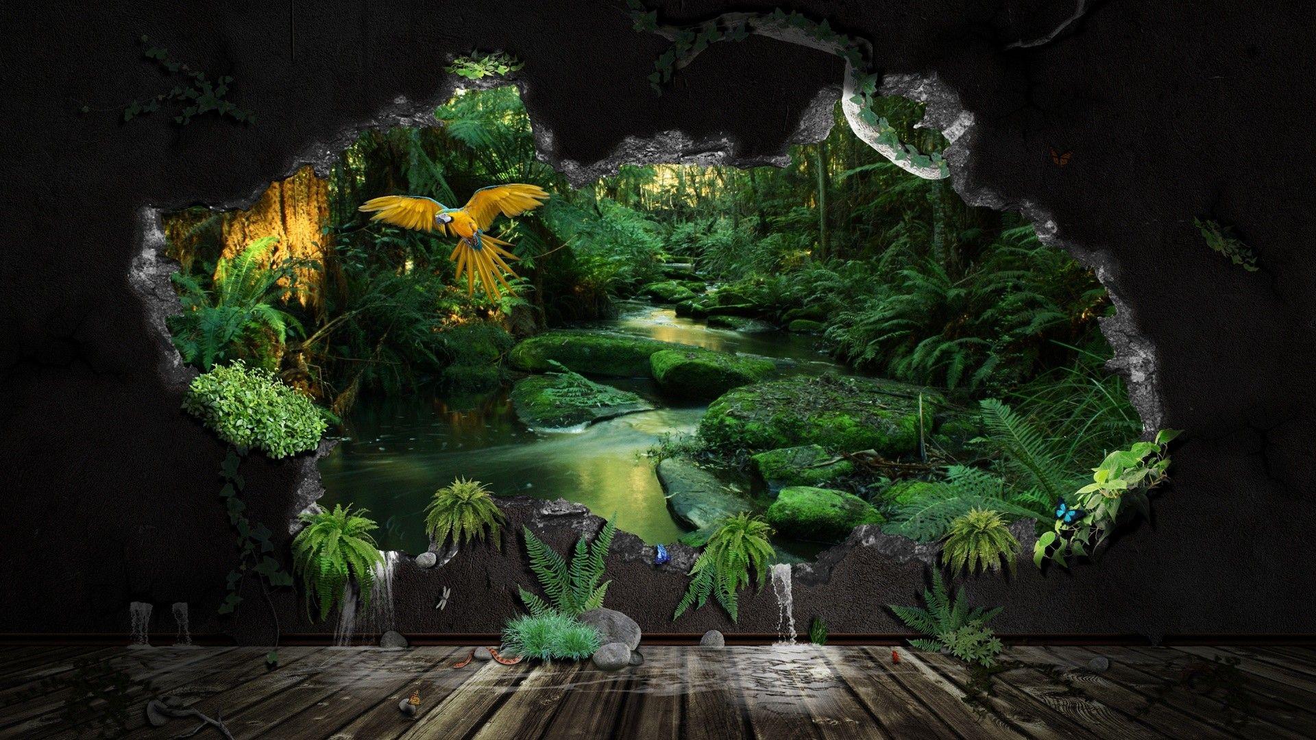 Rainforest, forest, tree, nature, Jungle, HD wallpaper | Peakpx