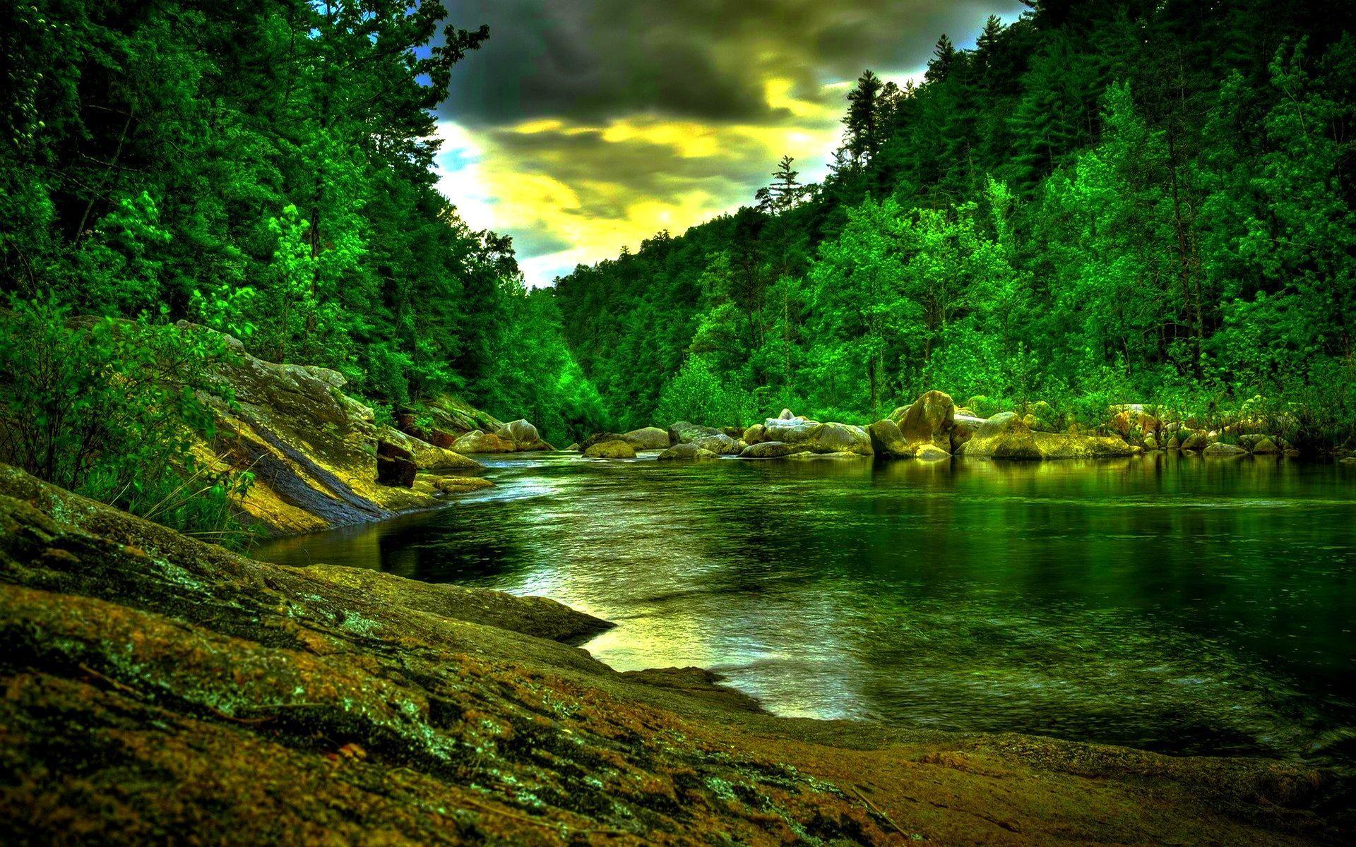 Jungle River Wallpaper, Full HD 1080p, Best HD Jungle River