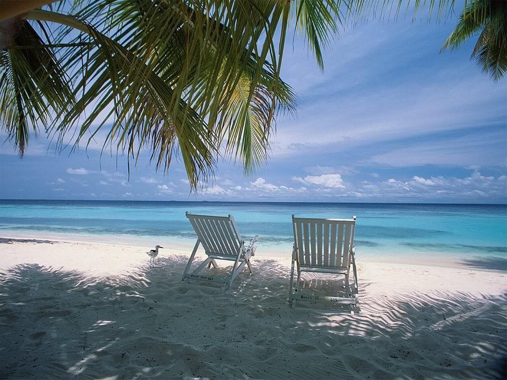 Tropical Beach Chairs Free Wallpaper