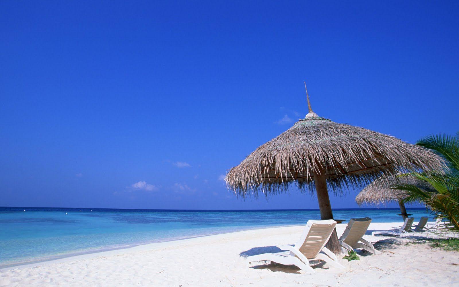 Summer Beach Chairs Desktop Wallpaper