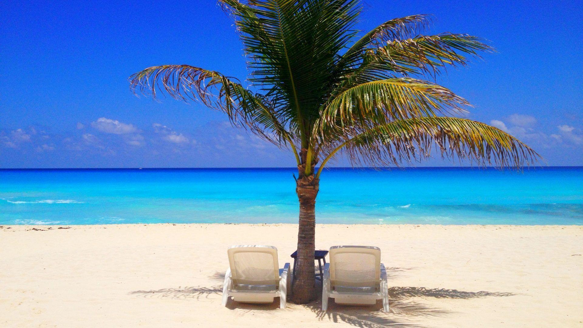 Tree Beaches Paradise Palms Cancun Nature Oceans Beach Palm Chairs