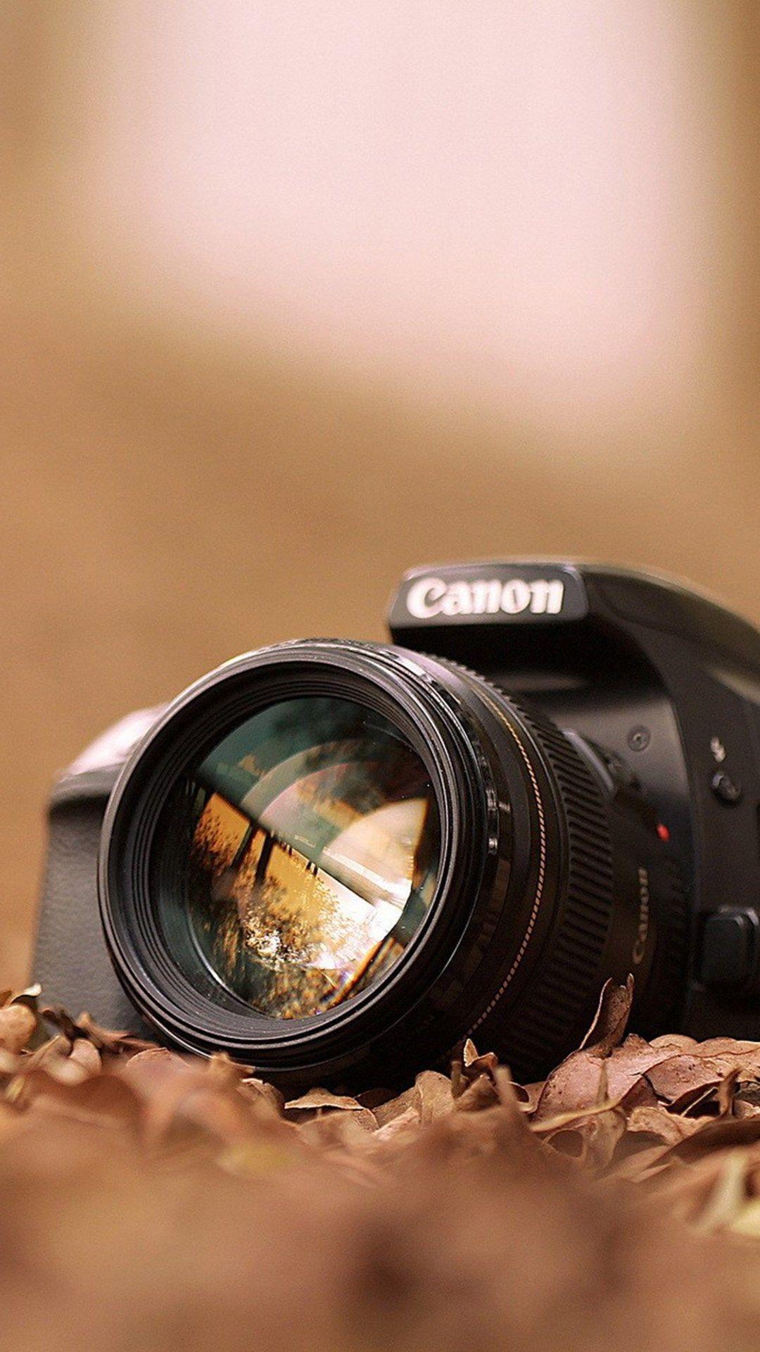 Canon Camera Macro Fall Leaves #iPhone #plus #wallpaper