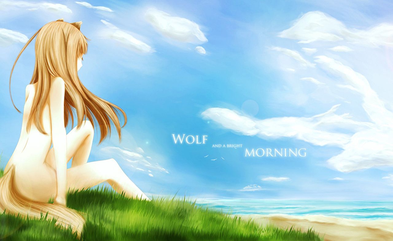 image Spice and Wolf Girls Anime