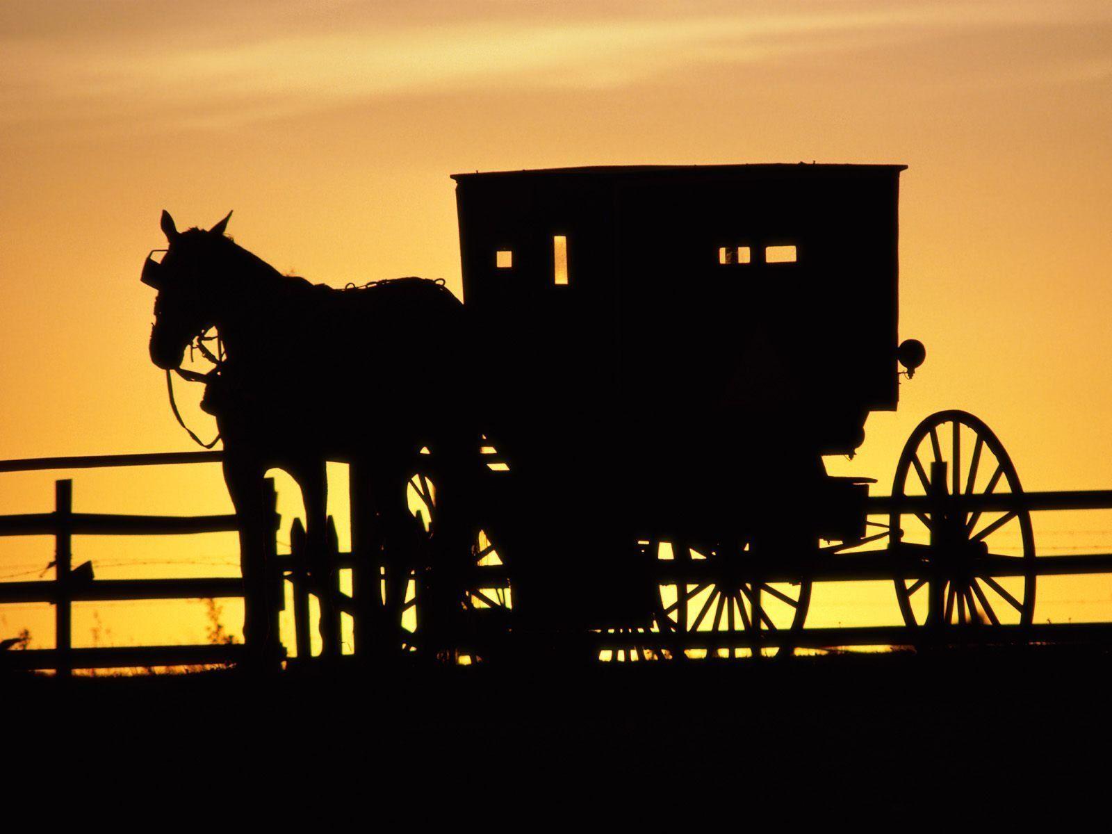 The Amish - Photo Gallery: The Amish Today | PBS LearningMedia