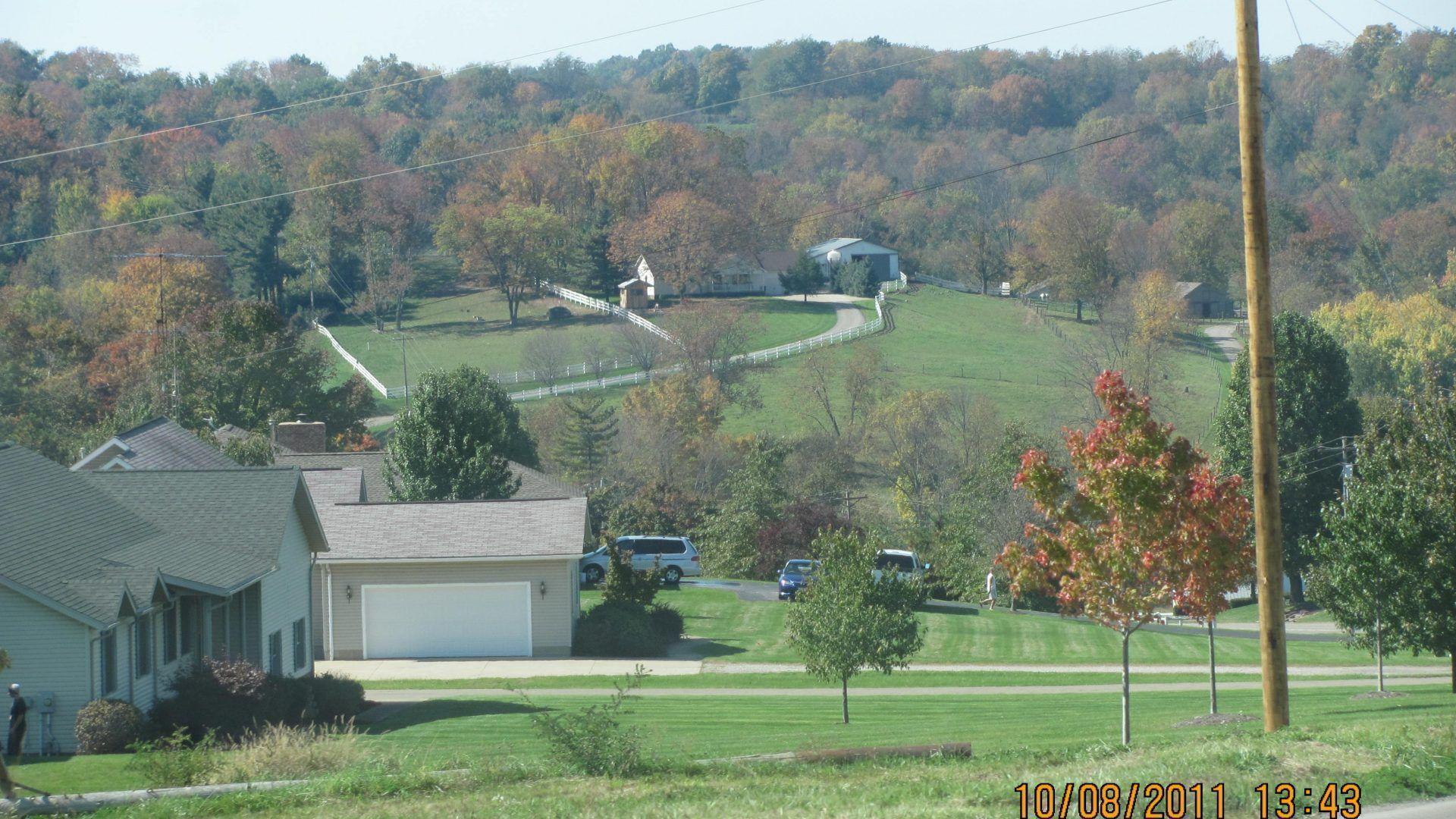 Amish Tag wallpaper: Country Animals Amish Nature Cows House