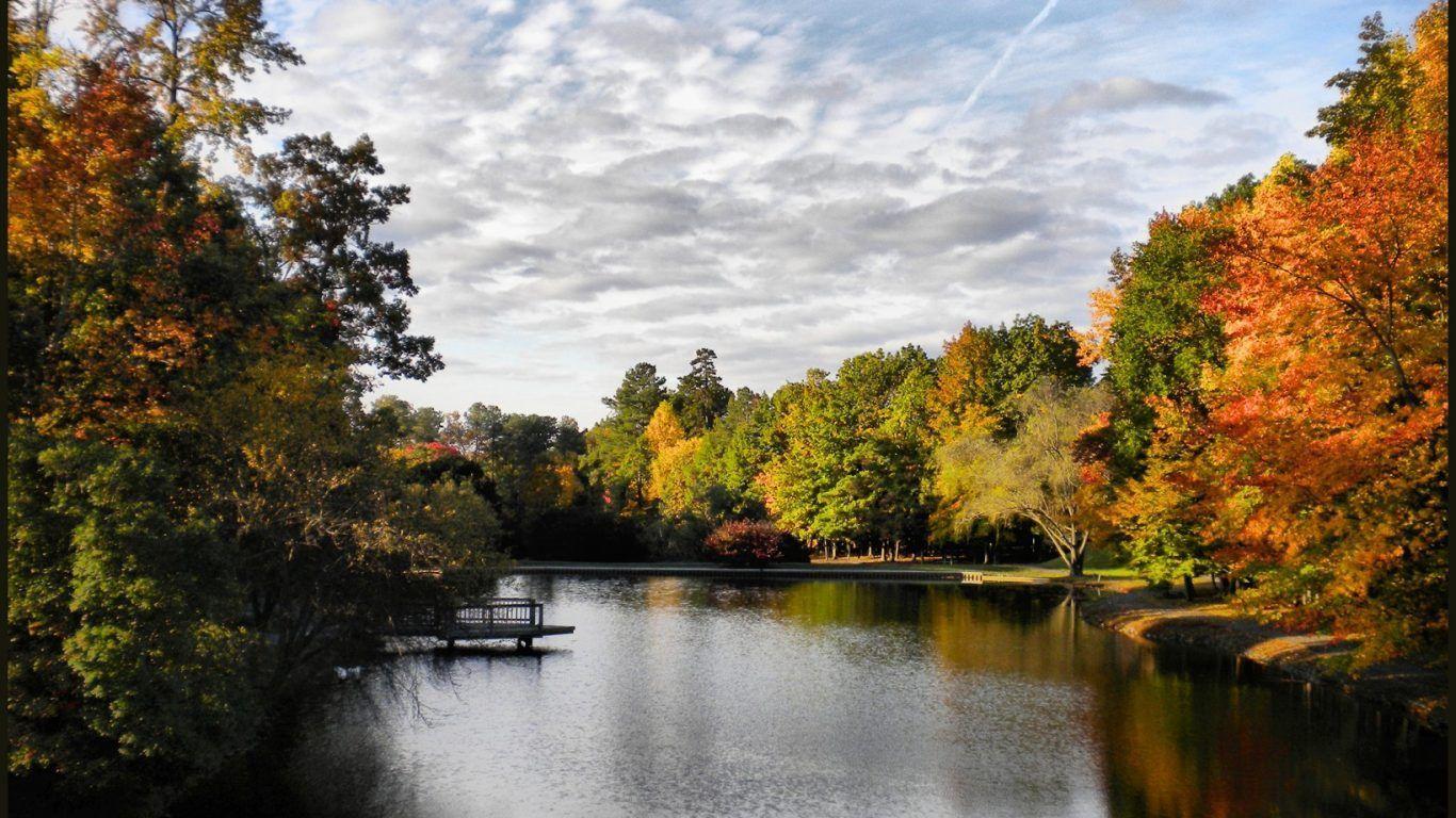 Lakes: Lotus Lake Flowers Ponds Wooden Plank Wallpaper HD for HD