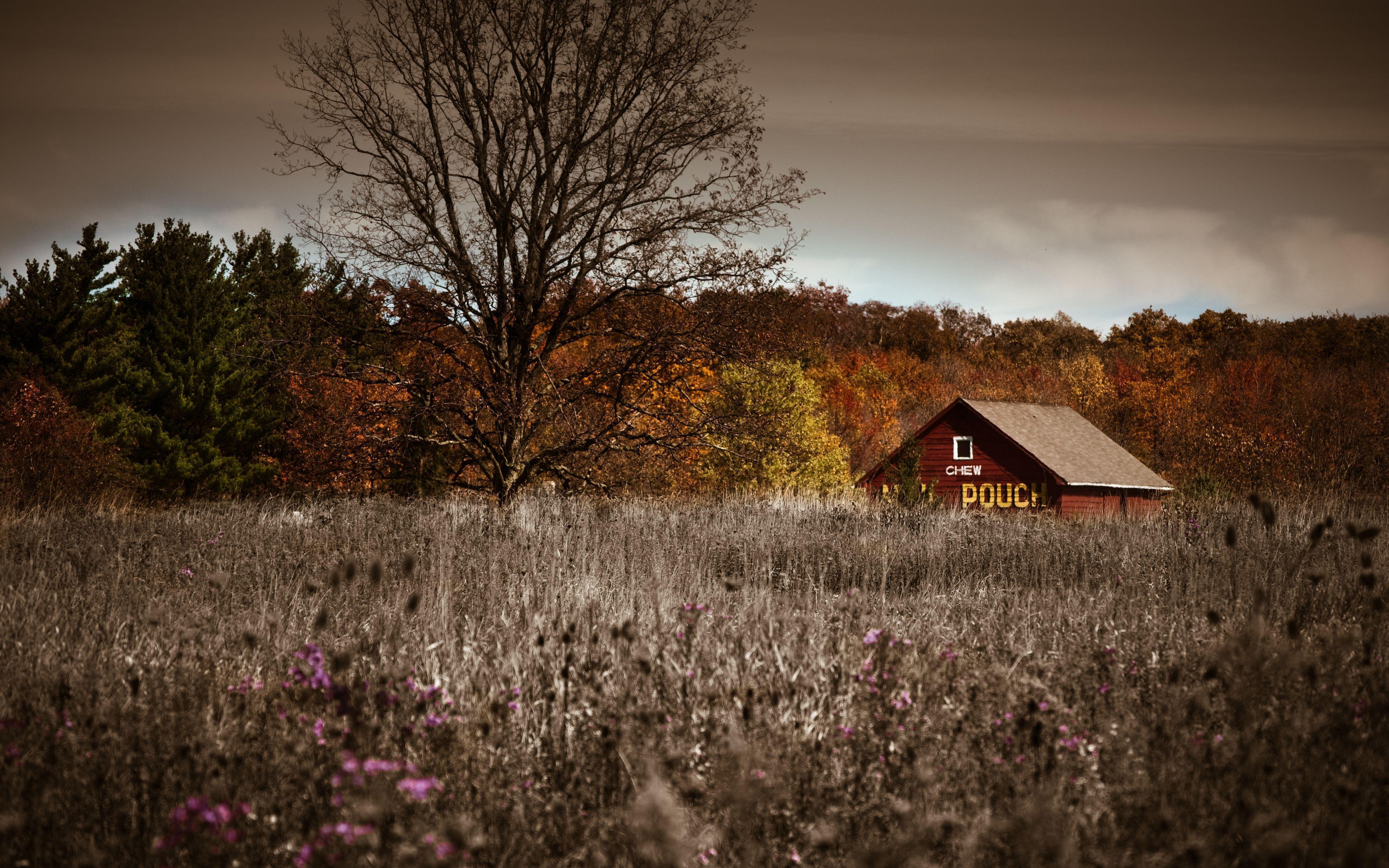 Autumn Barn 4k Ultra HD Wallpaper. Background Imagex2420