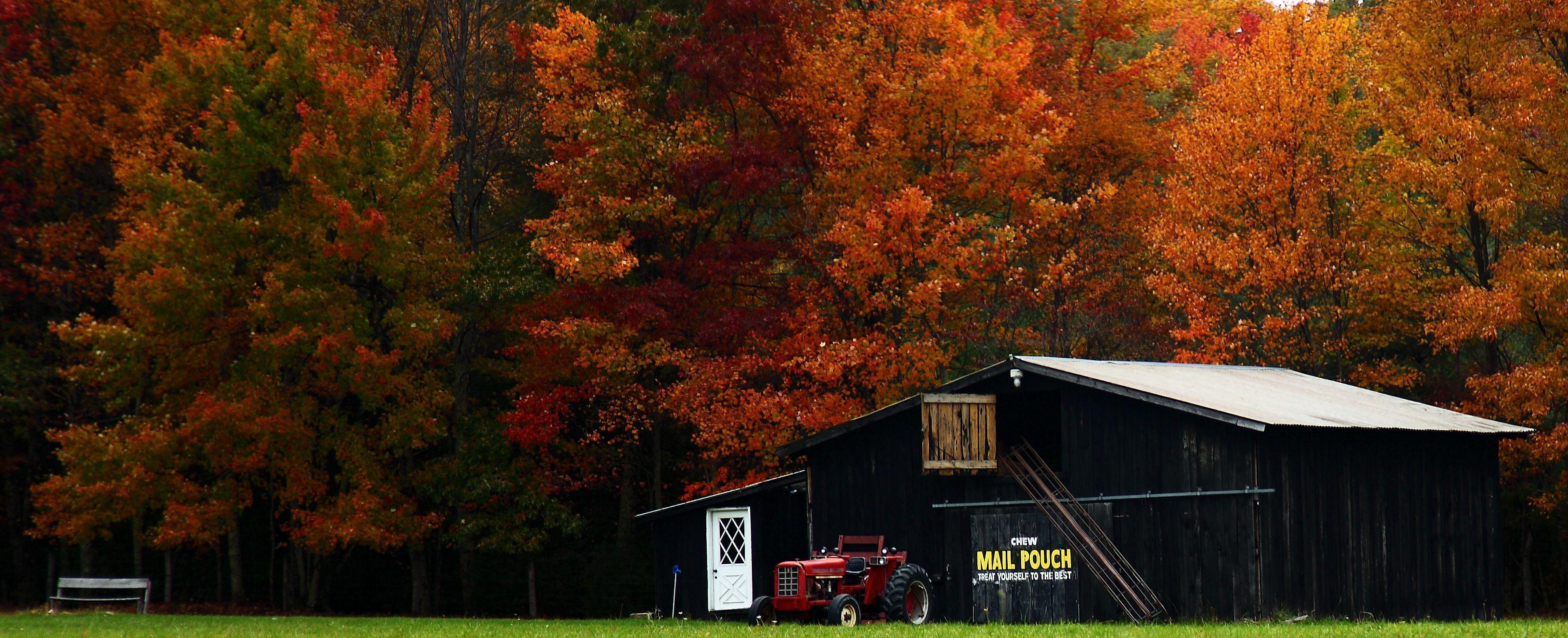 Autumn Barns. Virginia