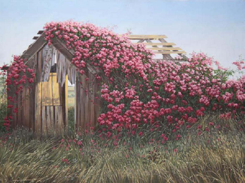 Image detail for -Free Old Barn with Roses Wallpaper