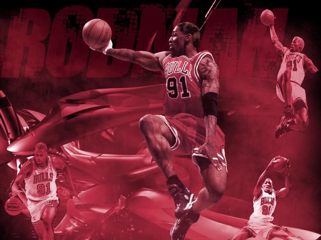 Rodman in the Rafters - The Wallpaper 
