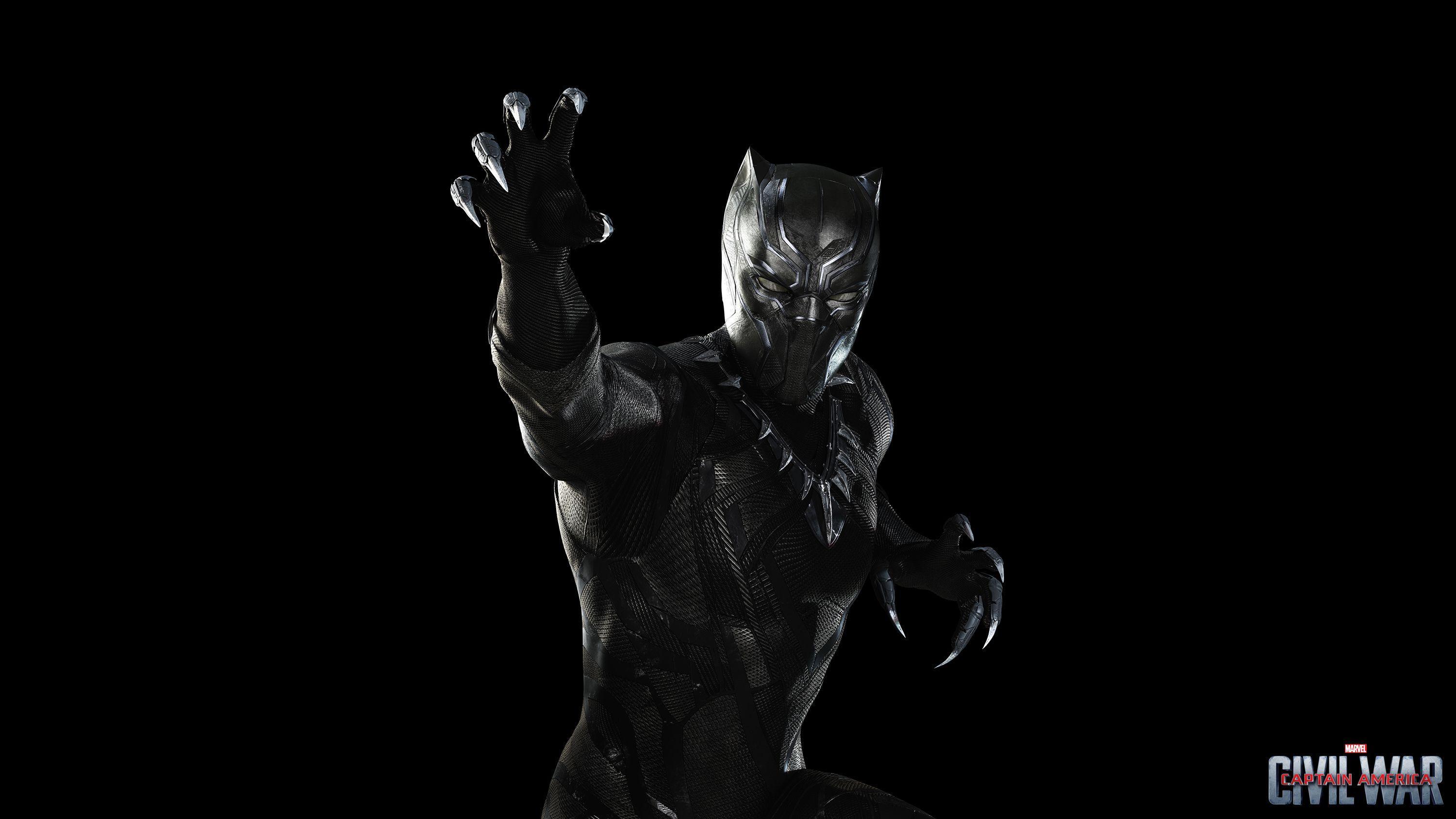 Black Panther Full HD Wallpaper and Background Imagex1688