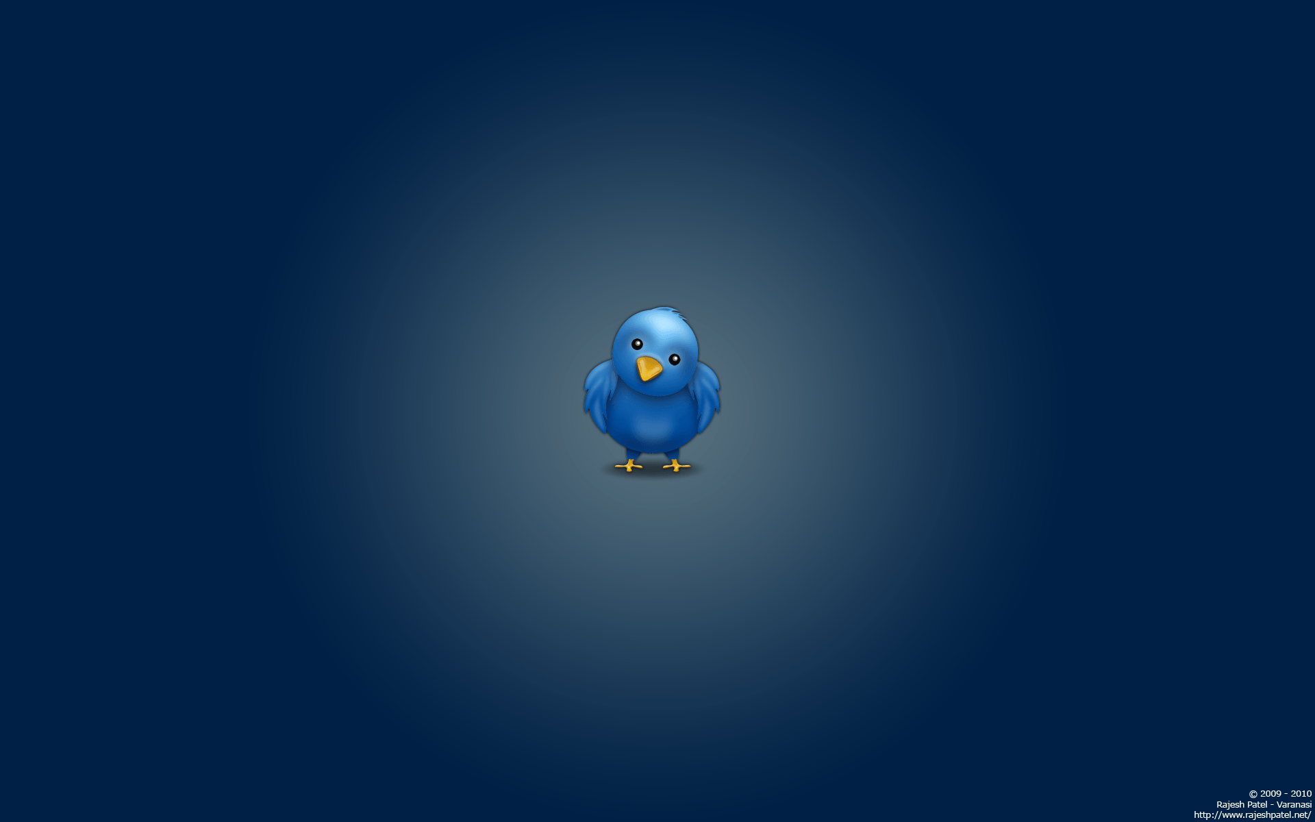 Twitter Logo Wallpaper Download Of Twitter Bird Wallpaper