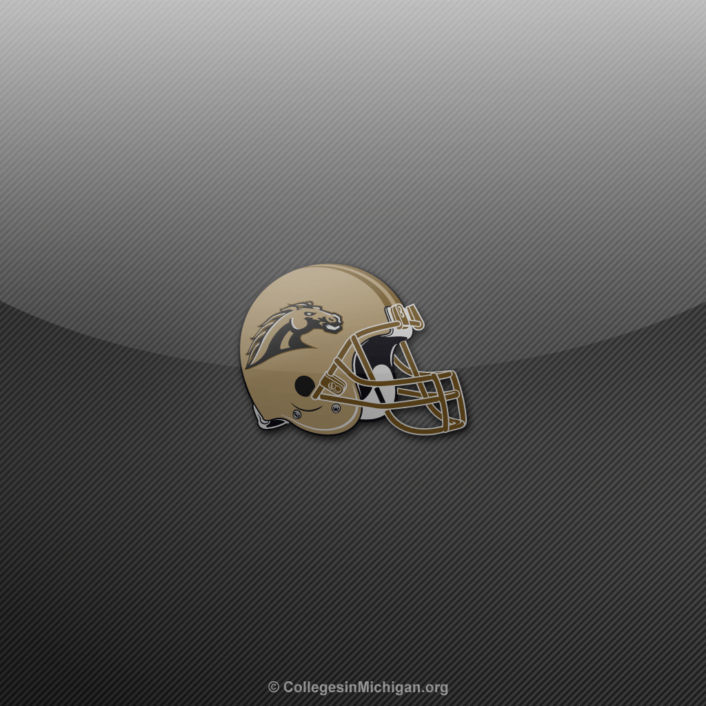 Western Michigan WMU Broncos iPad Wallpaper in Michigan