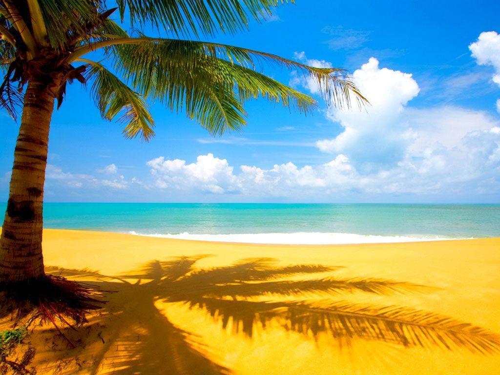 Ảnh nền Pantai: Hãy thưởng thức ảnh nền Pantai đẹp như tranh vẽ, với những bãi biển trắng tuyệt đẹp, những hàng dừa bao phủ và một bầu trời xanh sâu thăm thẳm. Hình ảnh đẹp tuyệt này sẽ cho bạn cảm giác như đang ngắm nhìn tận mắt một vùng đất thiên đường. 