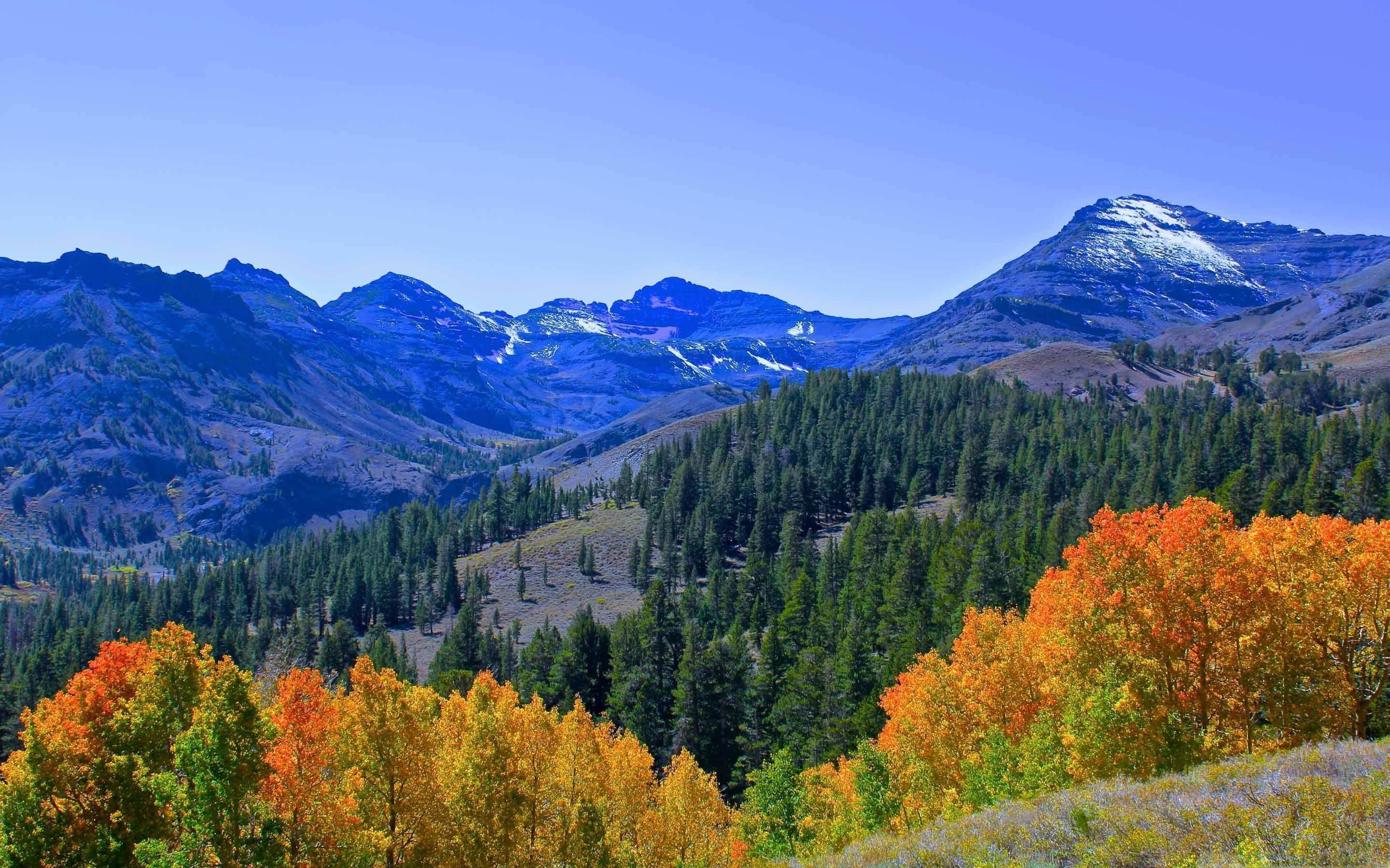Fall Colors In The Sierra Mac Wallpaper Download. Free Mac