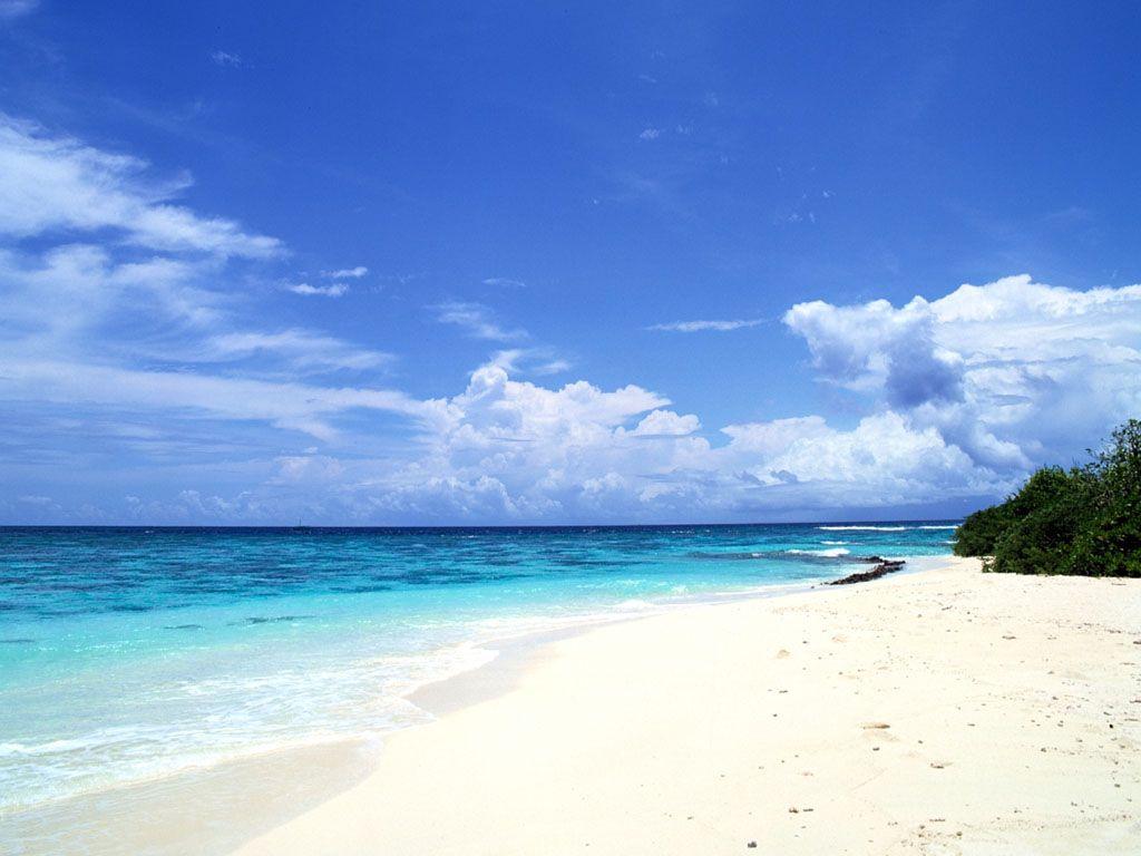 Gambar Pantai Pasir Putih Indah