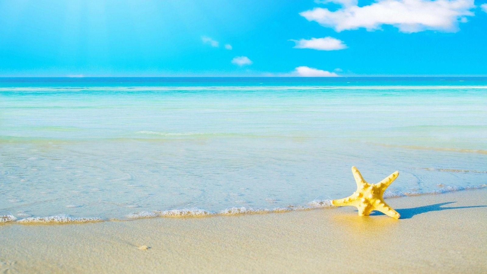 wallpaper starfish, sand, beach, sea, foam, landscape HD