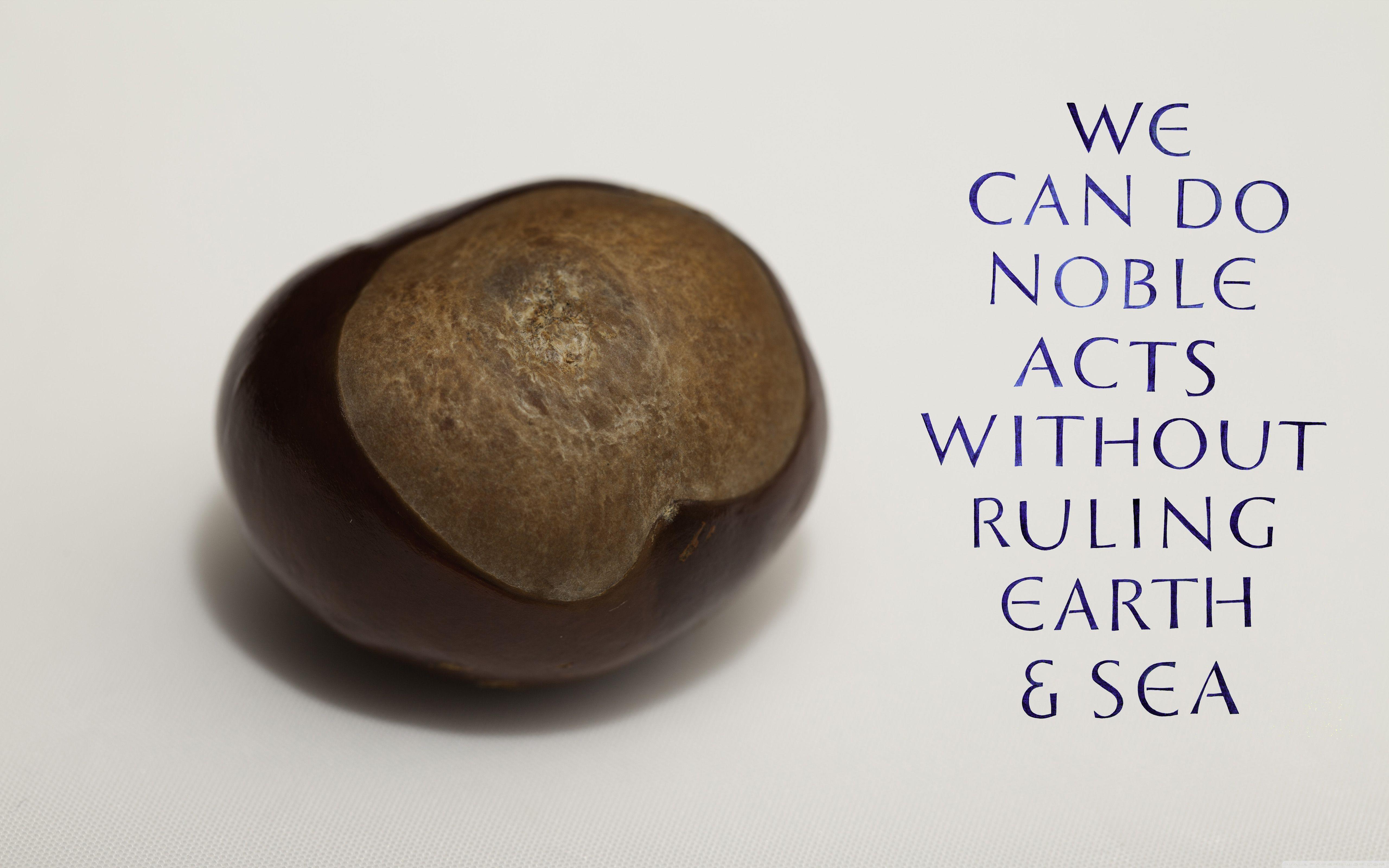 Wisdom HD desktop wallpaper, High Definition, Fullscreen