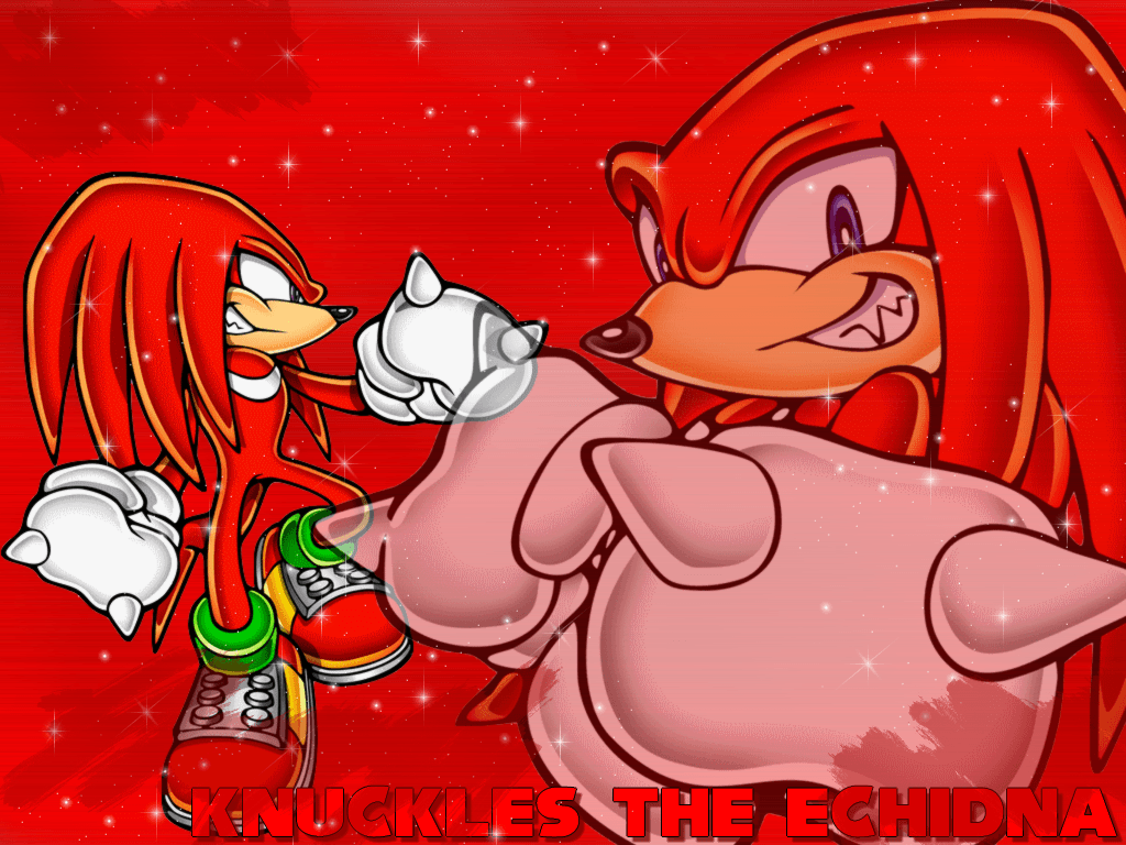 Wallpapers Knuckles The Echidna by NatouMJSonic.
