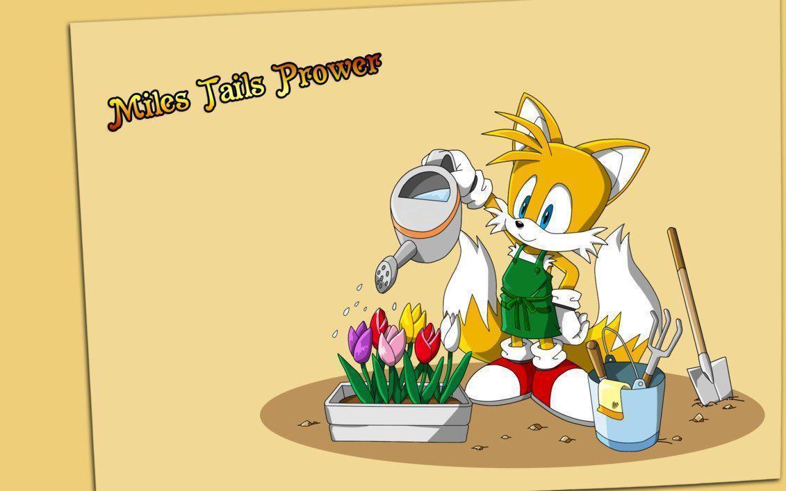 Miles Tails Prower wallpaper 2