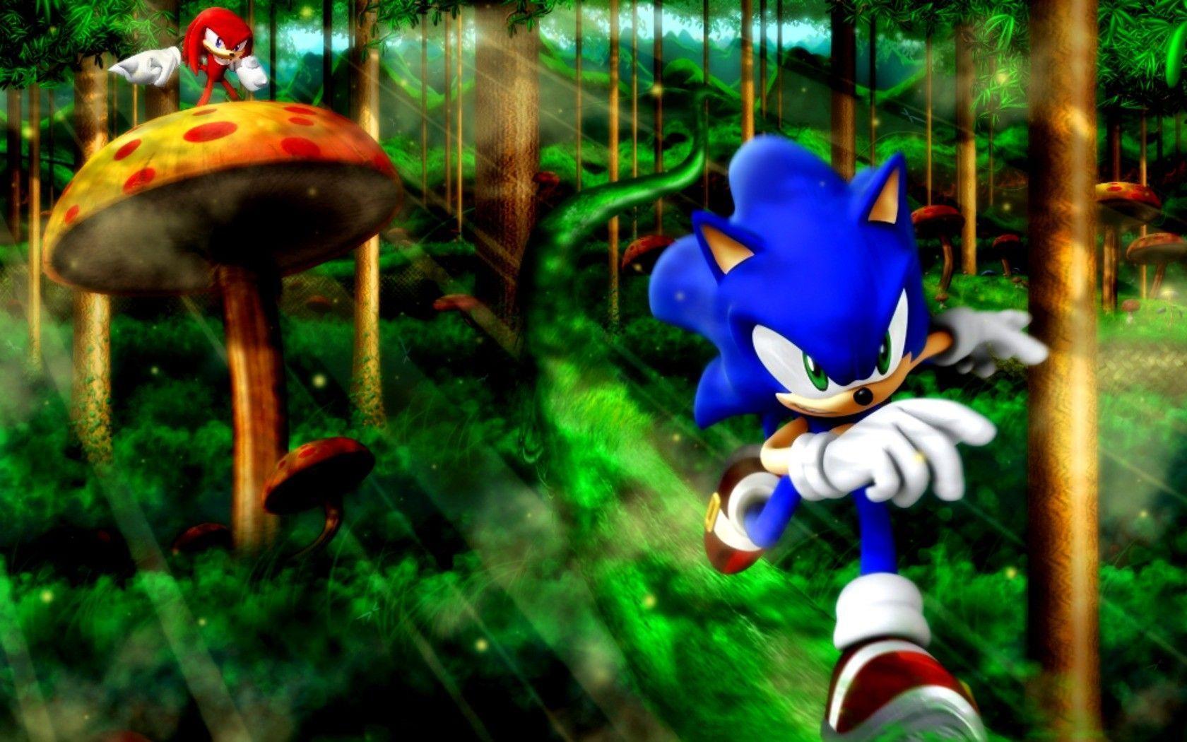 Sonic the Hedgehog video games forests mushrooms Knuckles