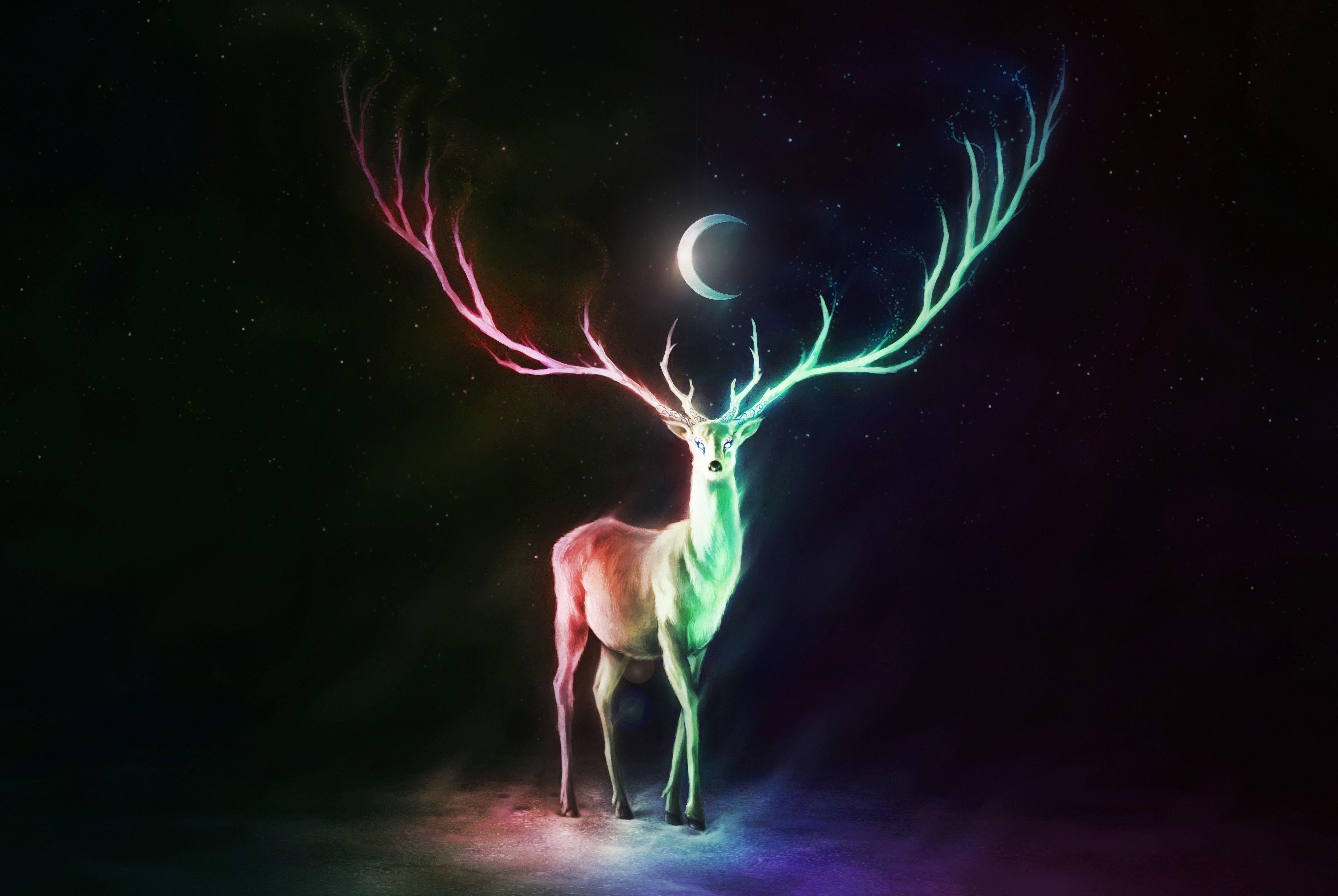 multicolor, stars, animals, Moon, balance, digital art, artwork
