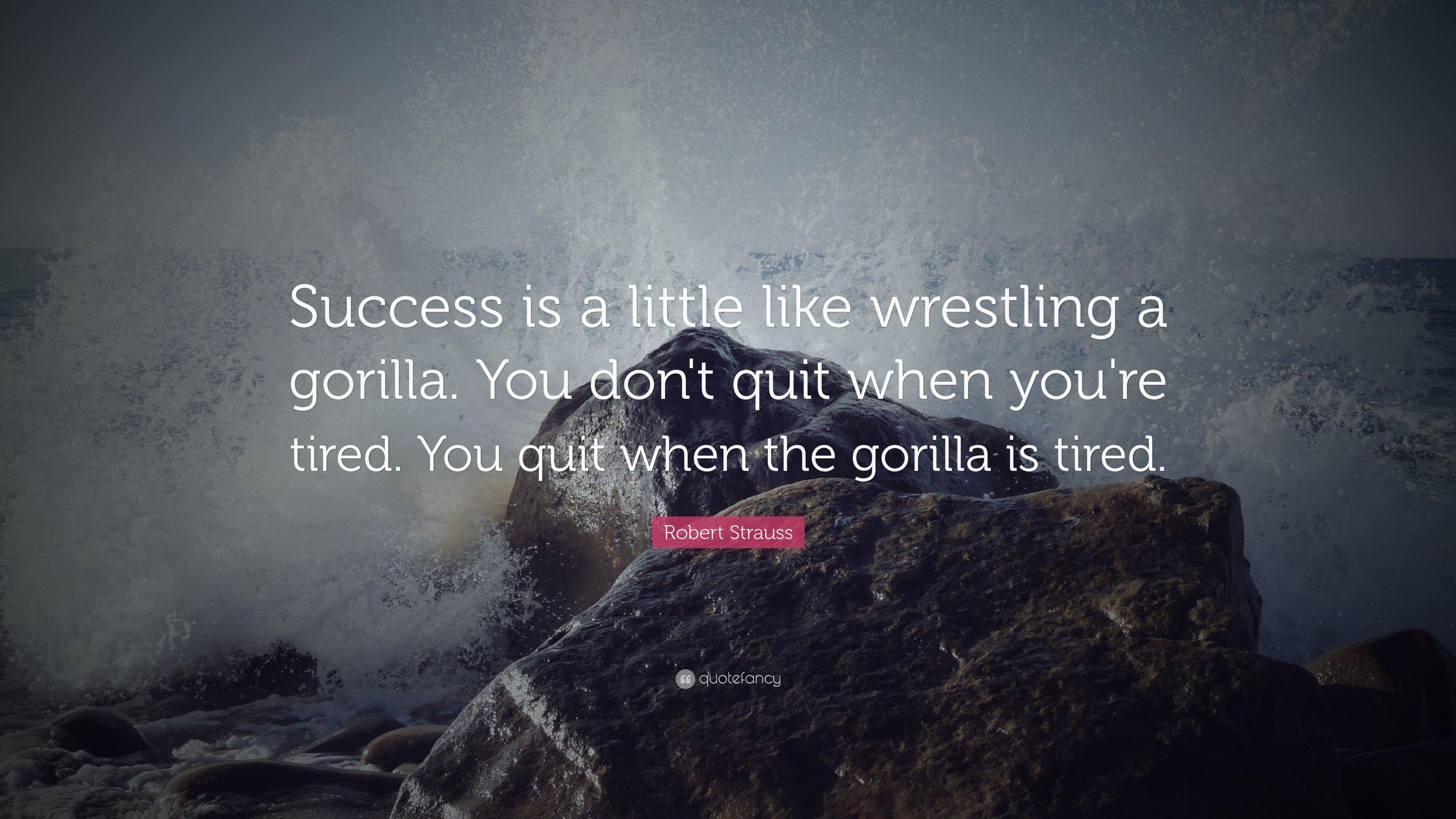 Robert Strauss Quote: “Success is a little like wrestling a