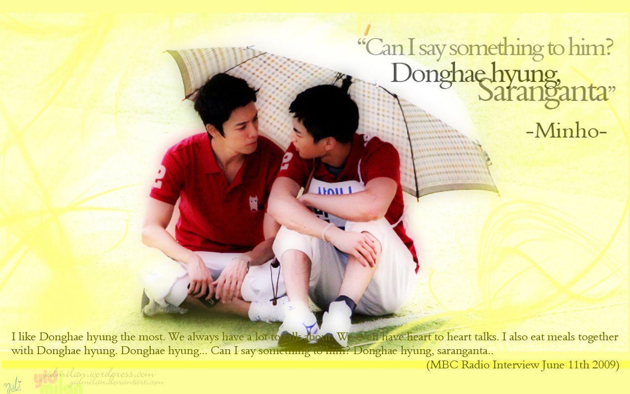 Minhae (Minho Donghae) Wallpaper