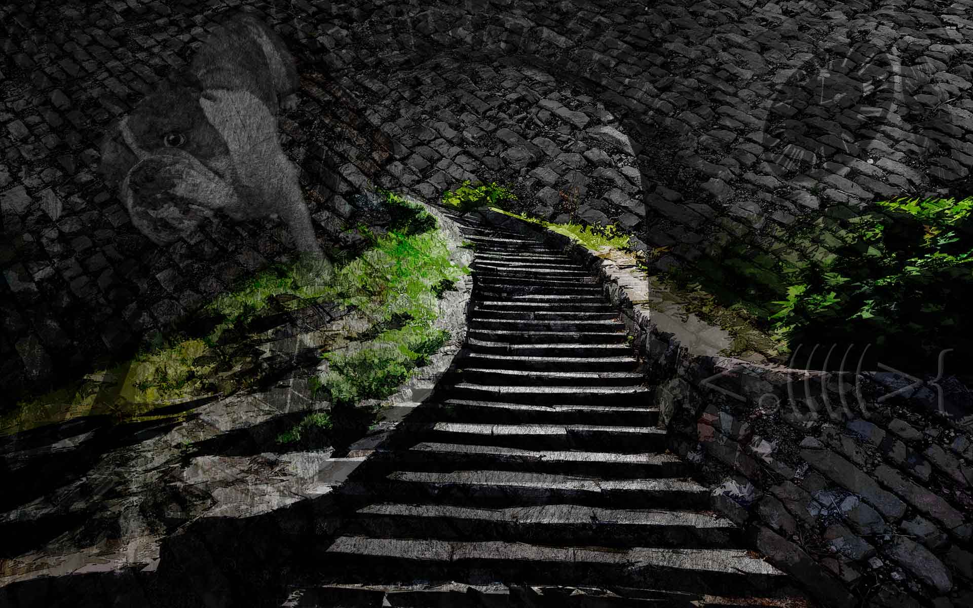 V.62: HD Image of Stairs, Ultra HD 4K Stairs Wallpaper