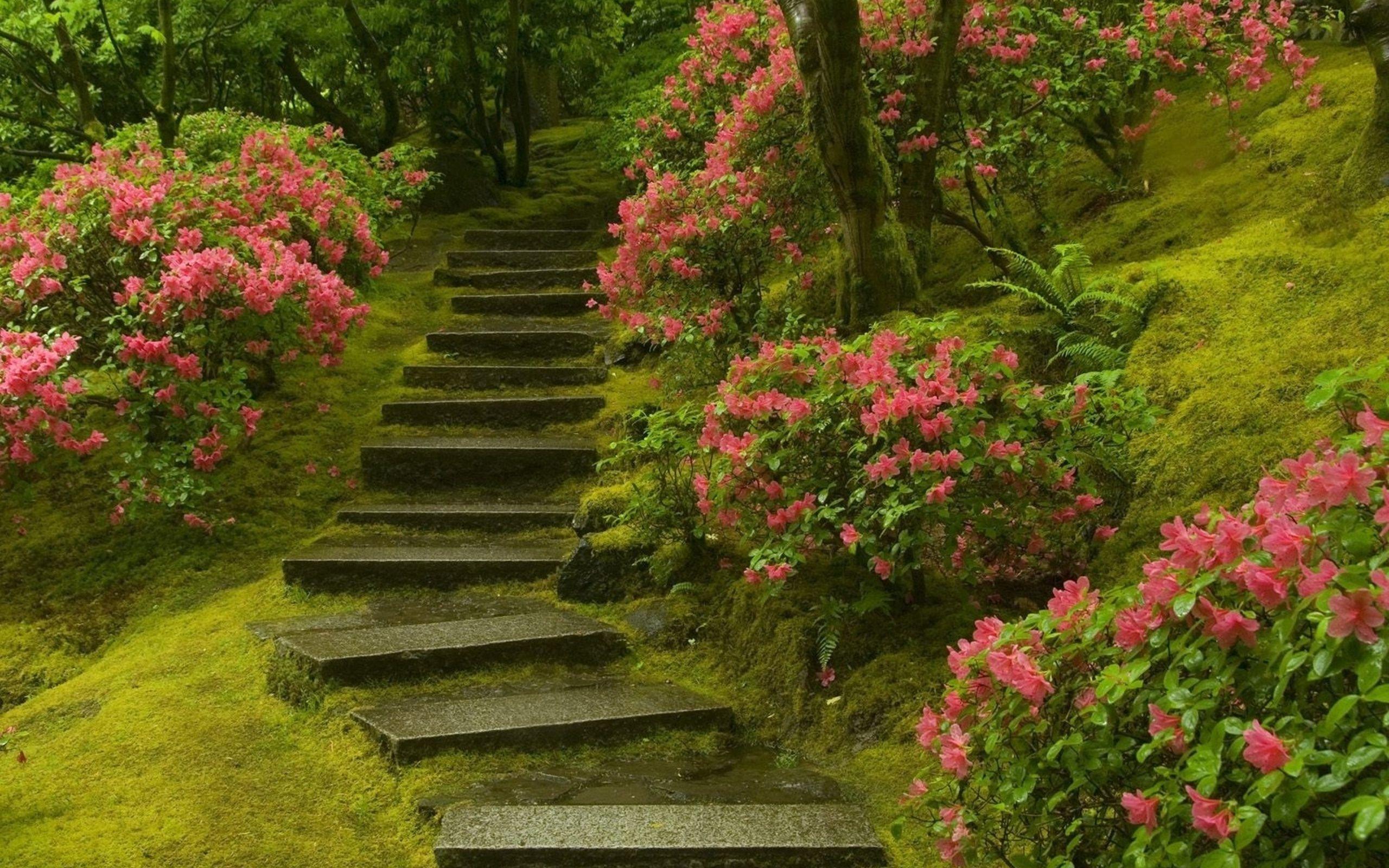 Stairs HD Wallpaper