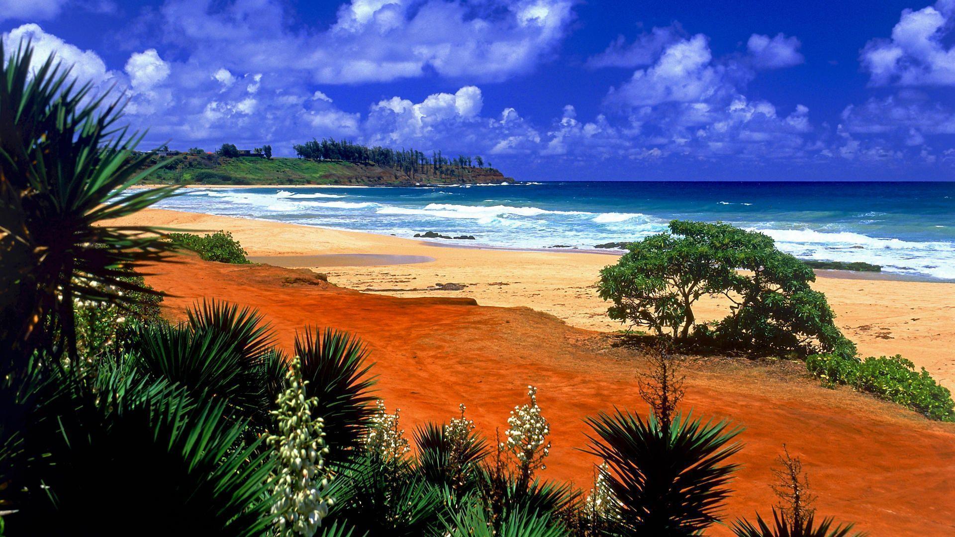 Hawaii Picture Wallpaper