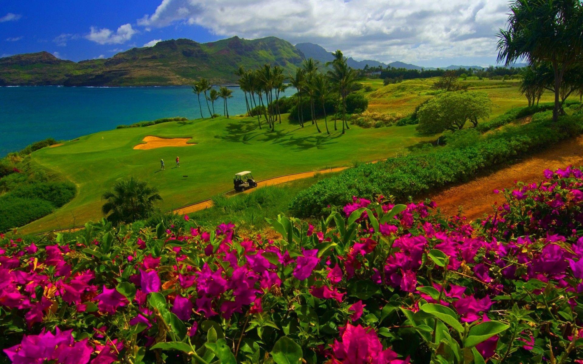 Kauai, America's Heaven On Earth Is Calling You Voice Review
