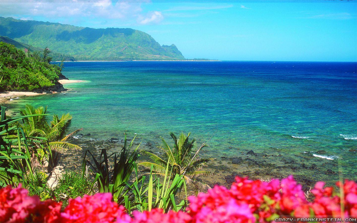 IPhone Hawaii Kauai Island Mountains Sea  Kauai iPhone   HD phone  wallpaper  Pxfuel