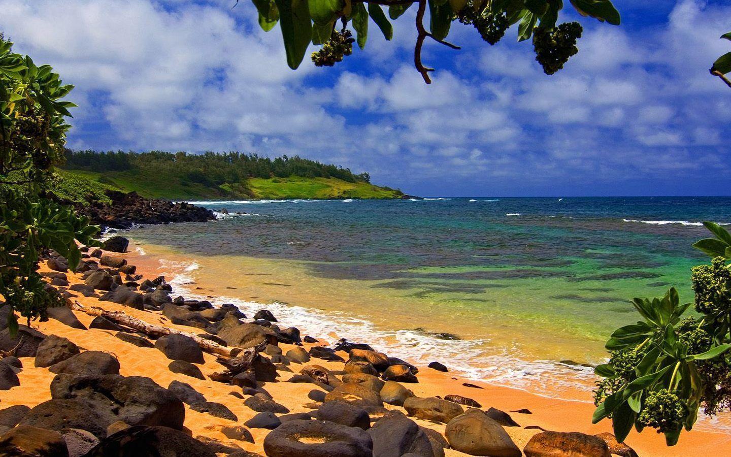 Free Wallpaper Beach Hawaii