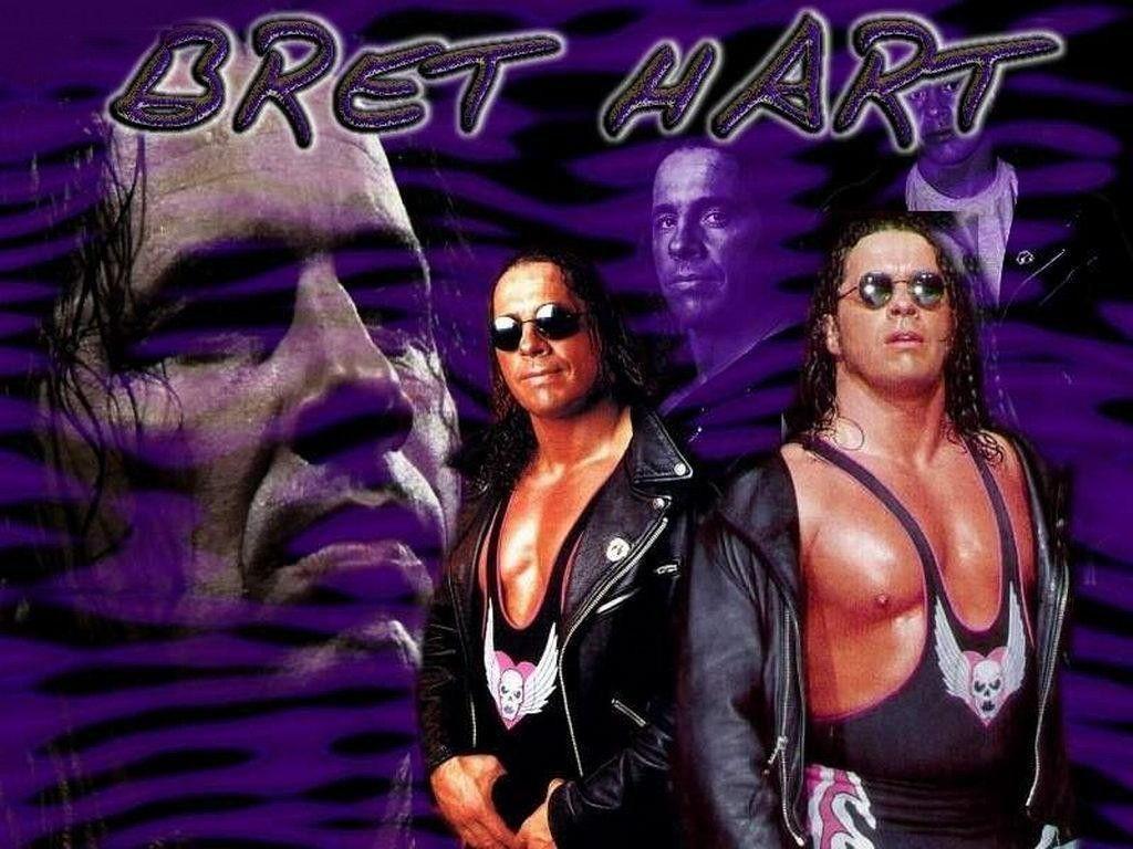 Wallpaper of Bret Hart Hitman Superstars, WWE Wallpaper