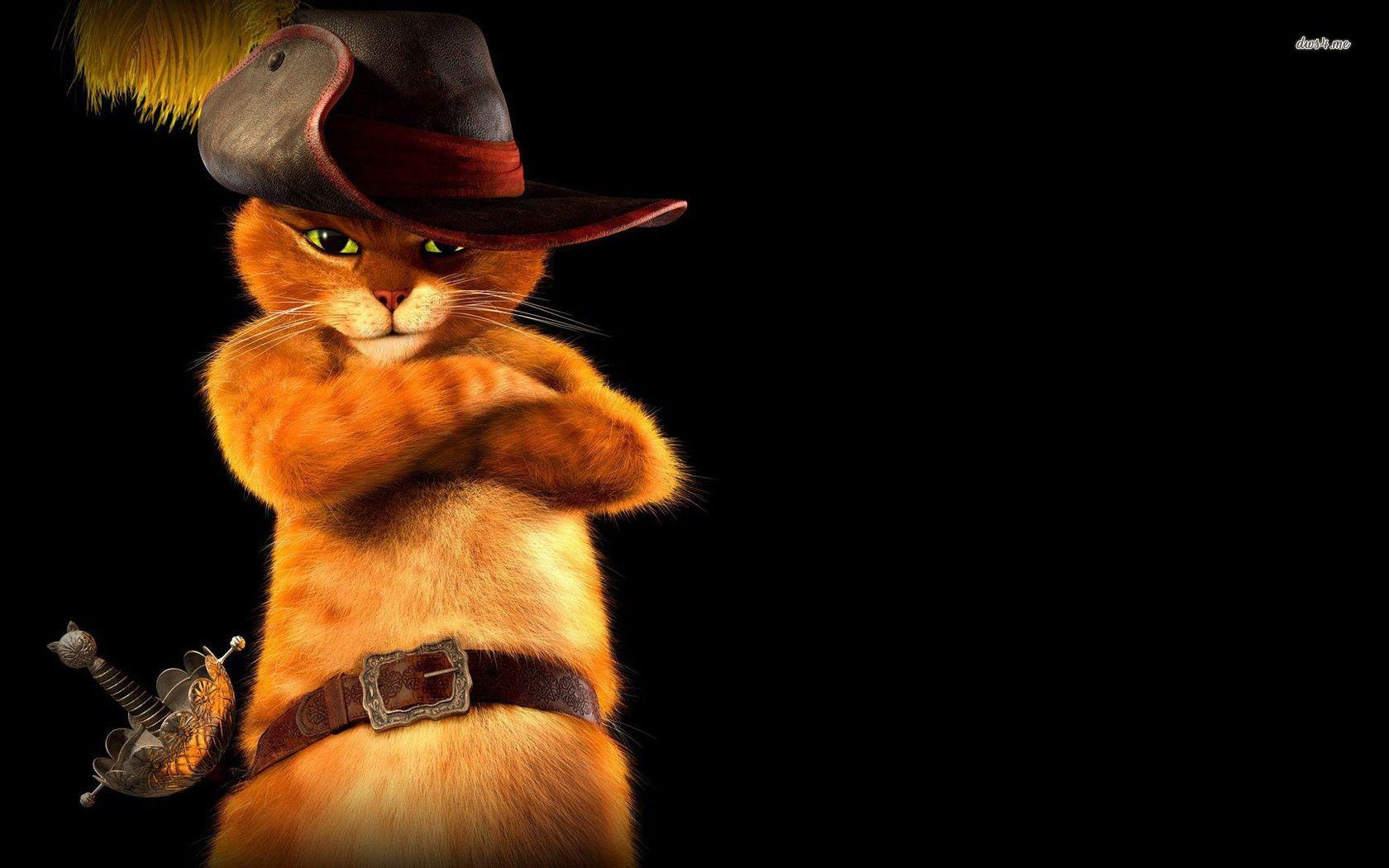 Puss In Boots Wallpaper HD Background