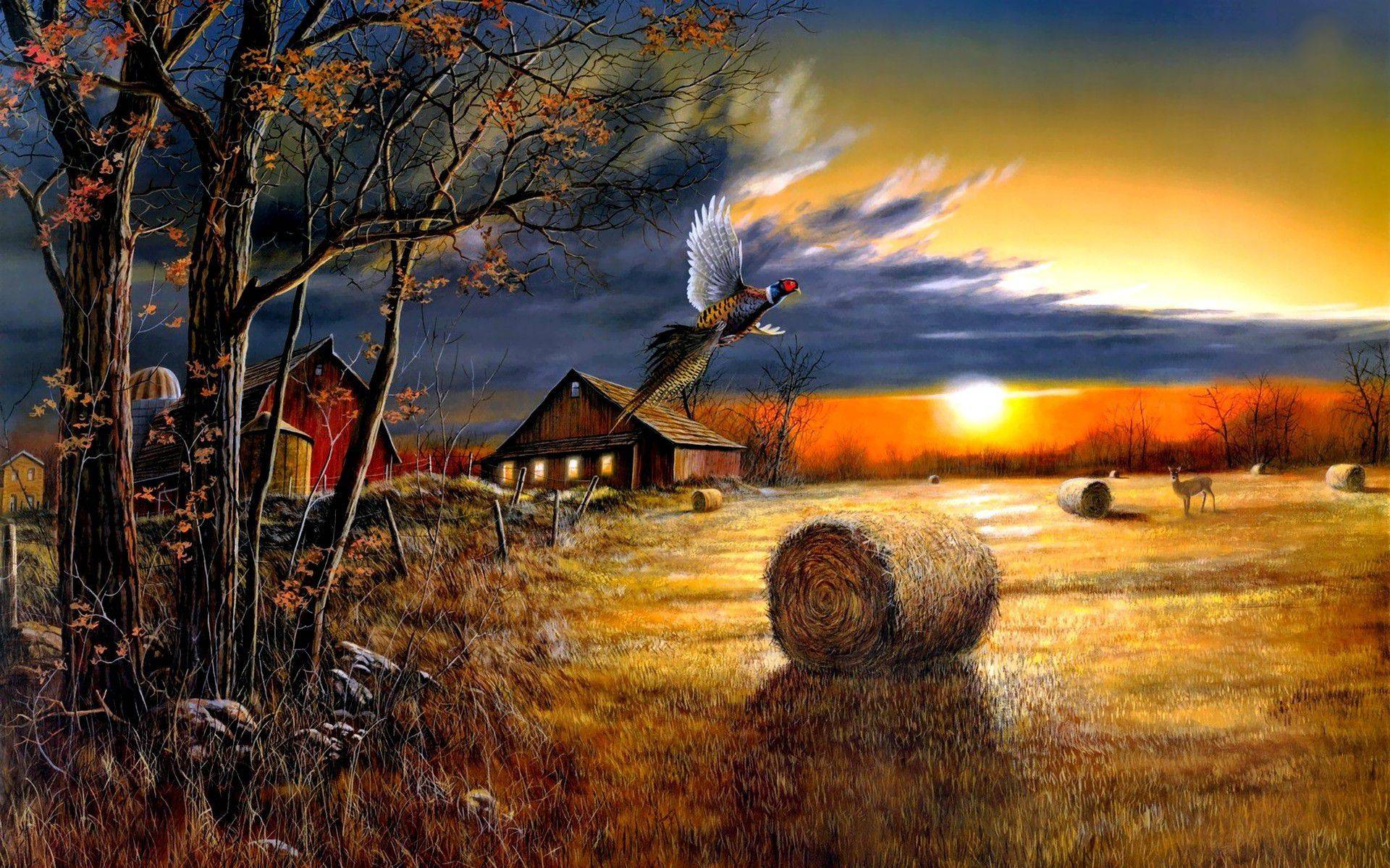 Farm Sunset Wide Desktop Background wallpaper free. paisajes