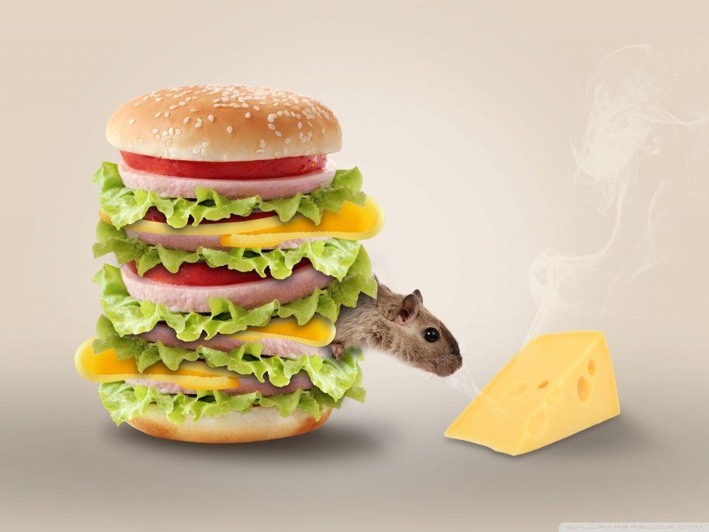 Hamburger HD desktop wallpaper, Widescreen, High Definition