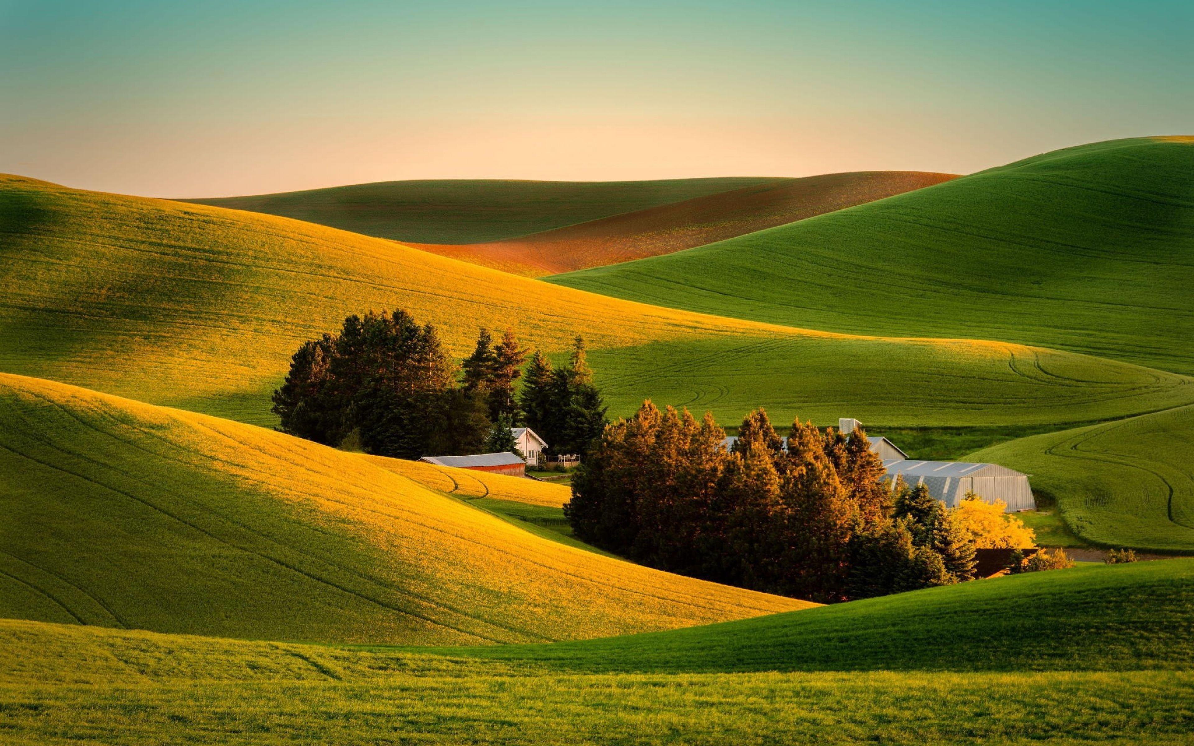 Landscape 4K Ultra HD Wallpaper. Wallpaper 3840x2400 Field, Grass
