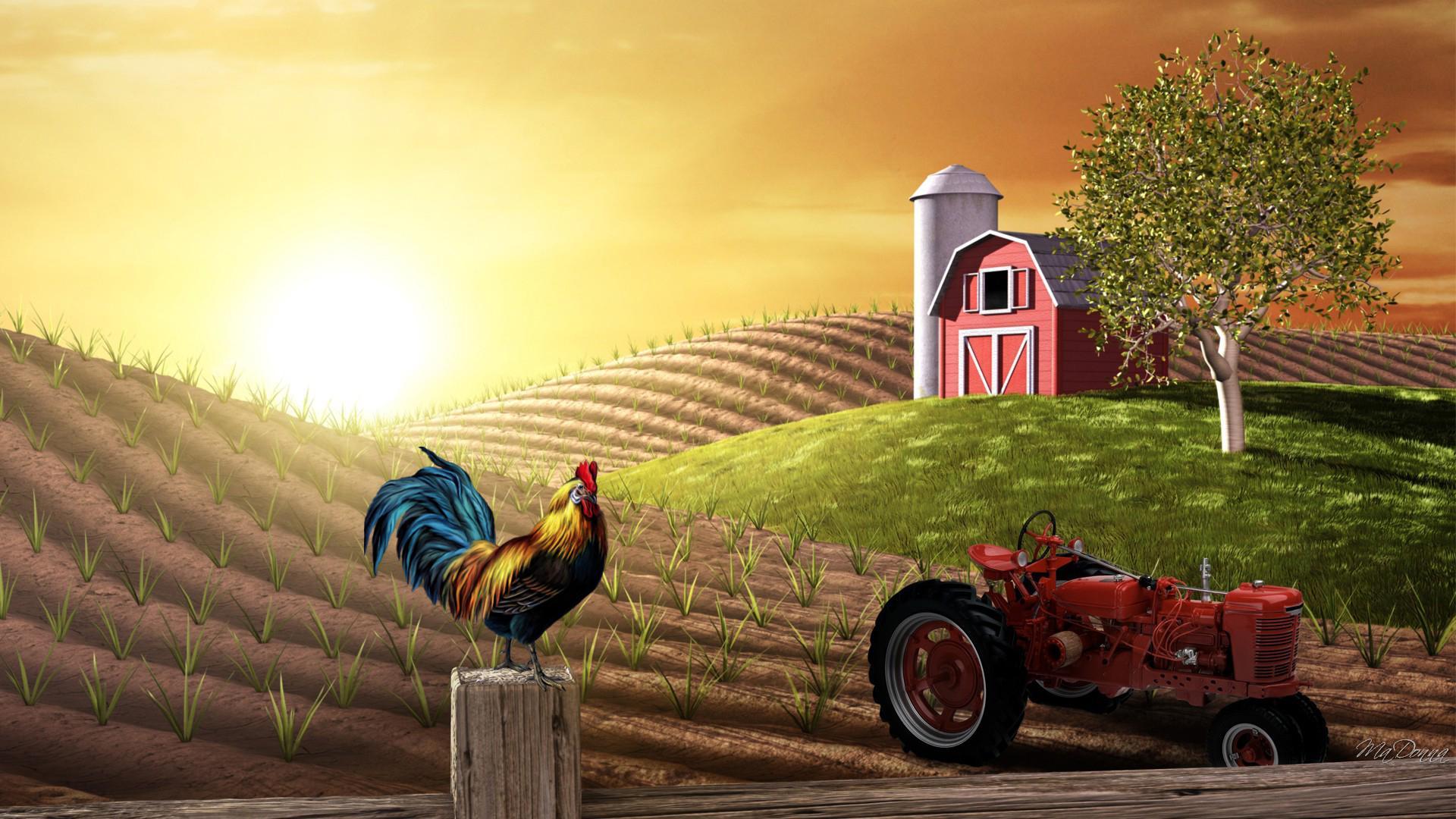 Farm Desktop Wallpaper1