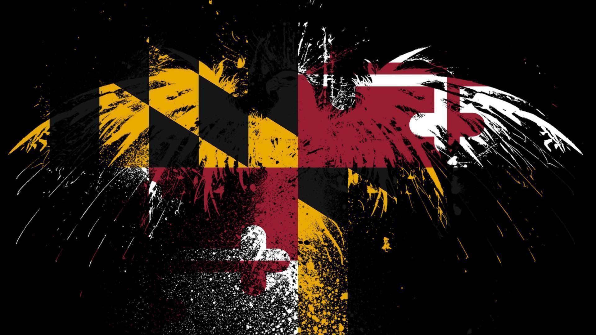 Eagles hawk flags usa maryland state wallpaper