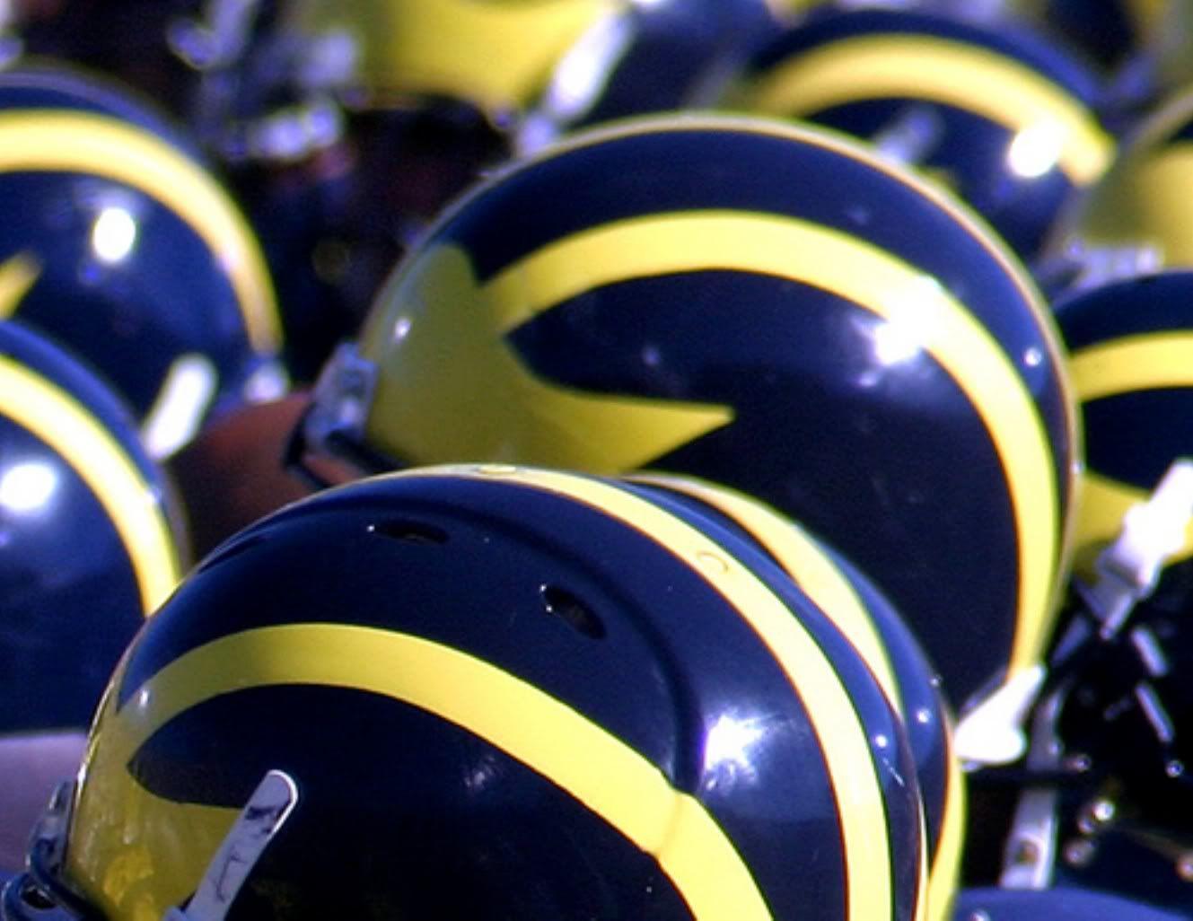 Michigan Wolverines Wallpaper 1329×1026 Michigan Wolverines
