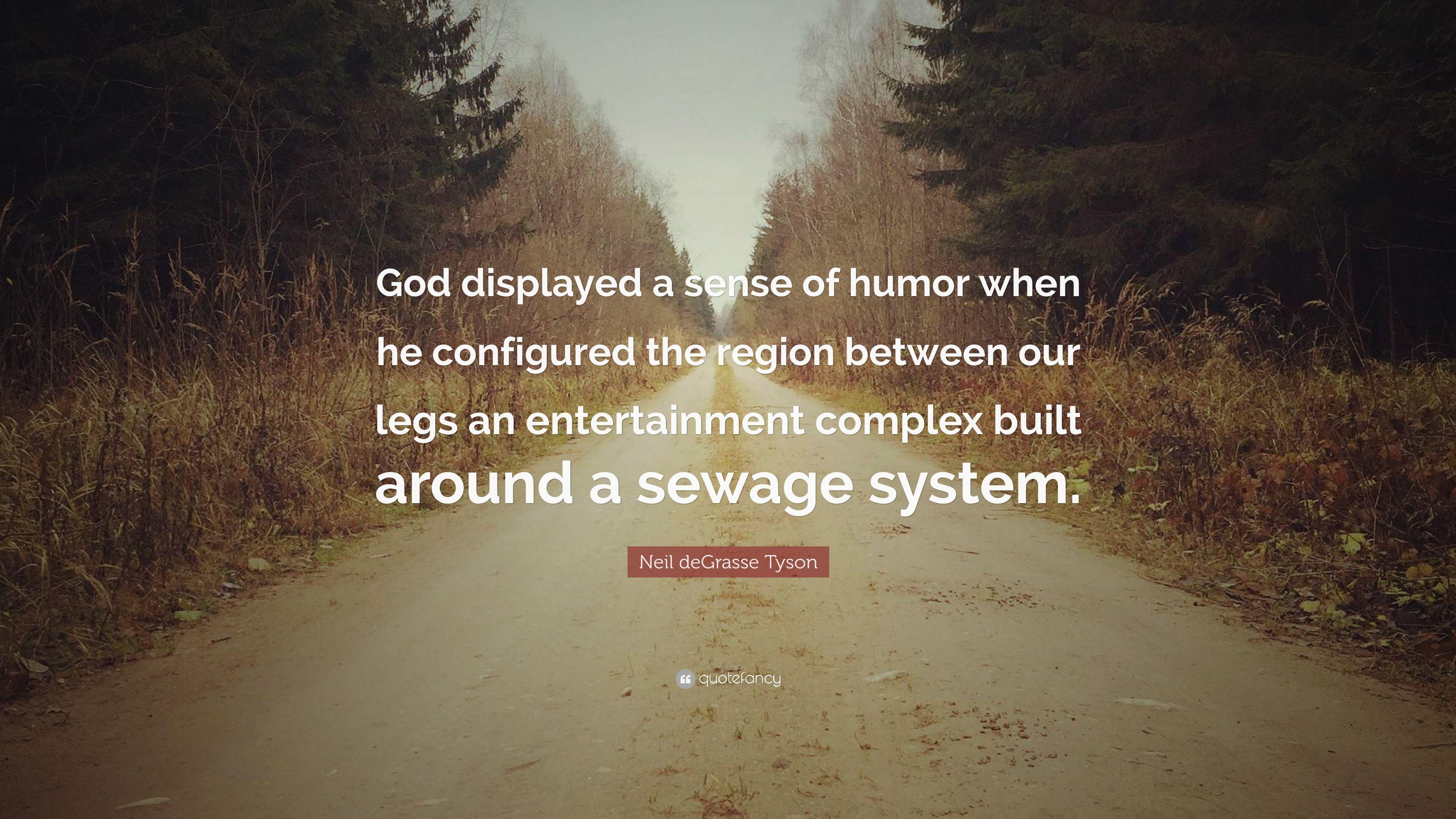 Neil deGrasse Tyson Quote: “God displayed a sense of humor when he