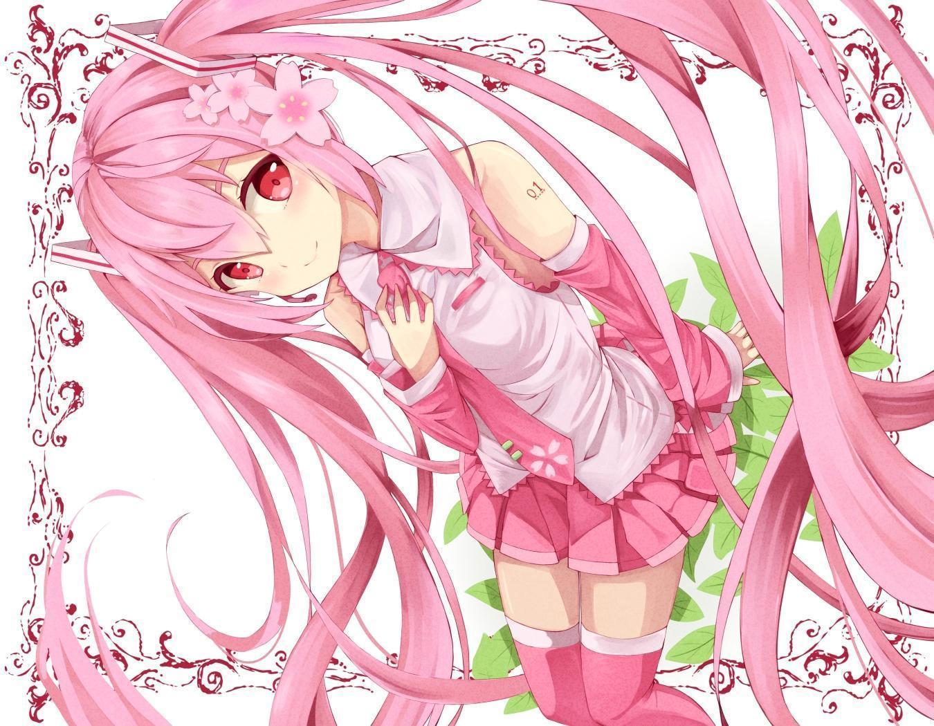 Anime Vocaloid Sakura Miku HD wallpaper  Peakpx