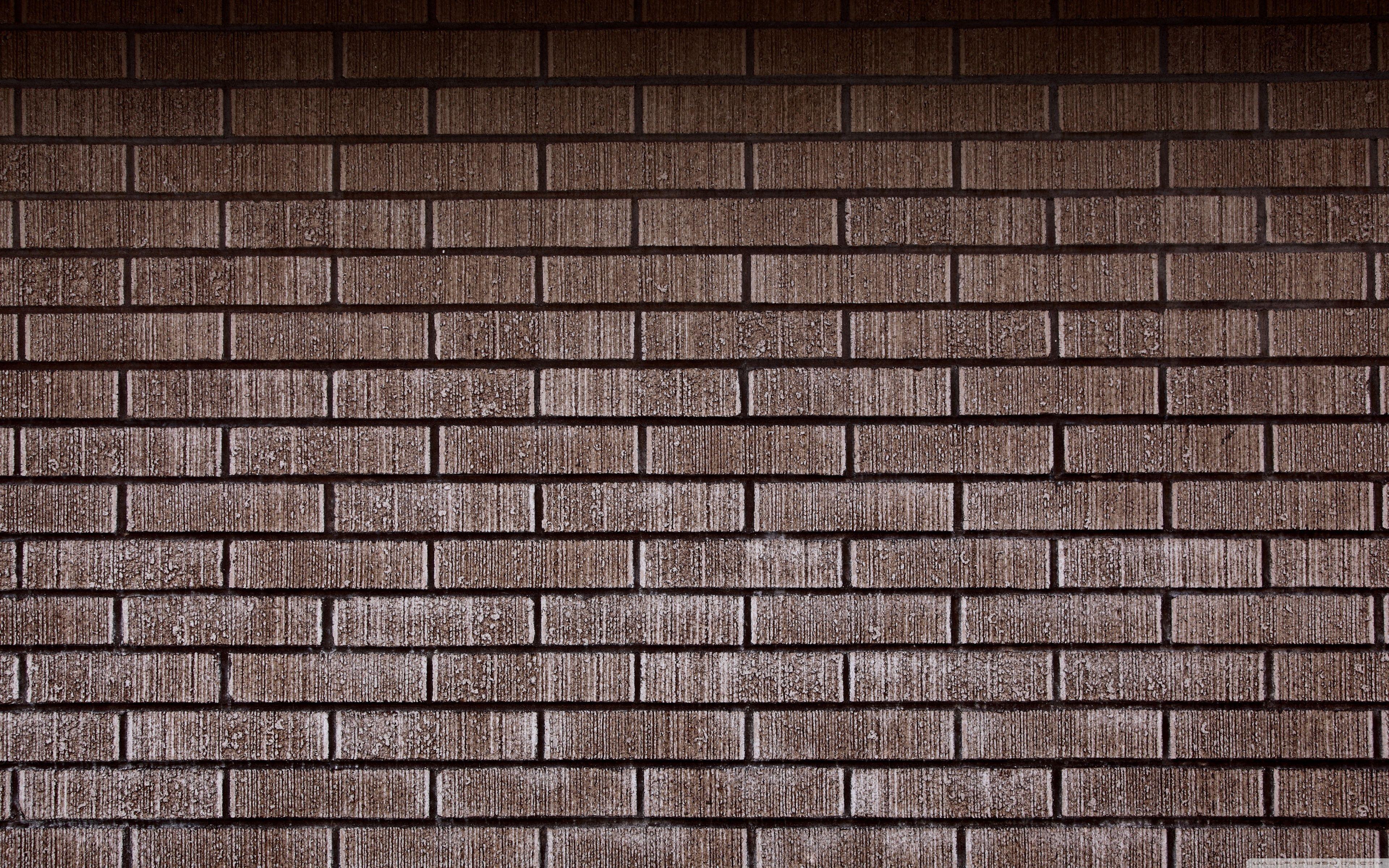 Brick Wall ❤ 4K HD Desktop Wallpaper for 4K Ultra HD TV • Dual