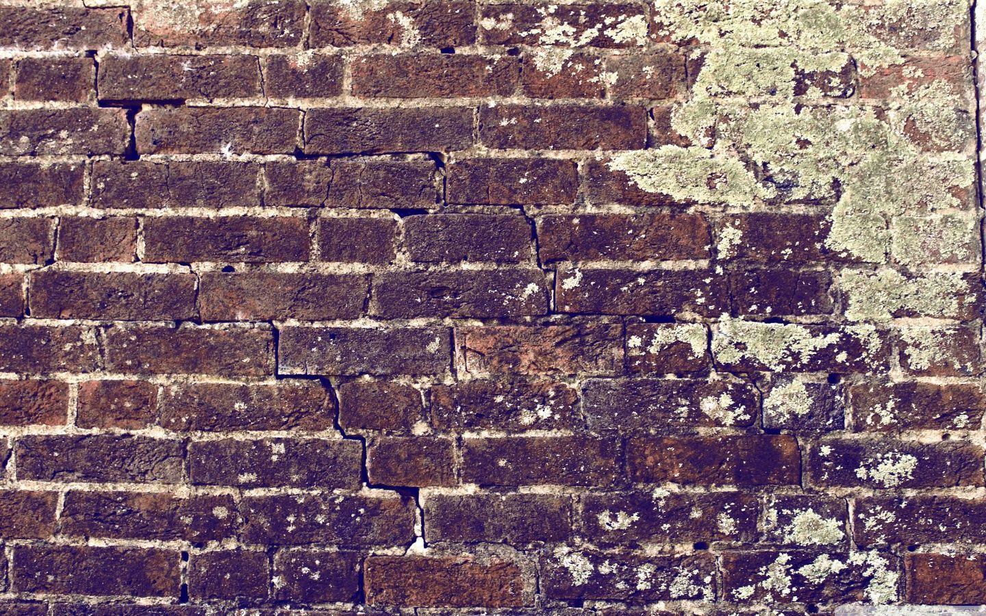Brick Wall HD desktop wallpaper, High Definition, Dual Monitor