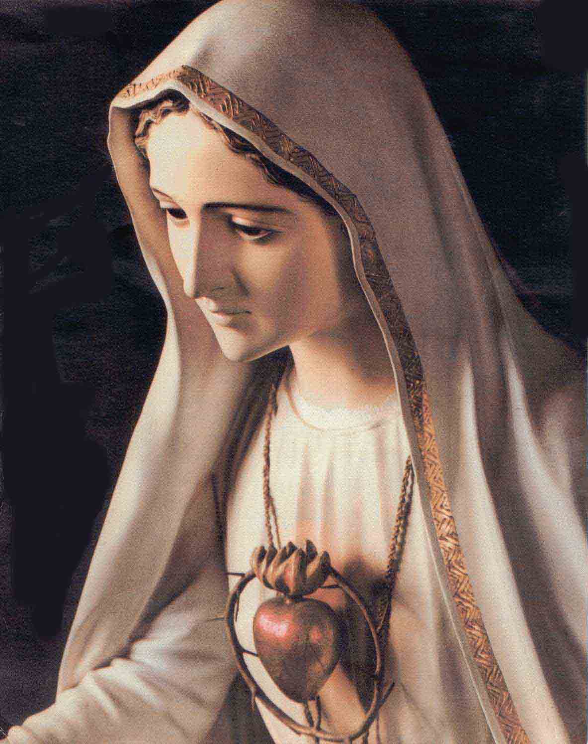 Our Lady of Fatima for us. Good Morning Lord, it's